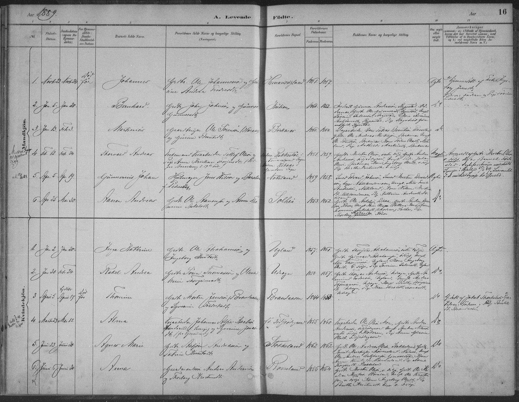 Søgne sokneprestkontor, AV/SAK-1111-0037/F/Fa/Faa/L0003: Parish register (official) no. A 3, 1883-1910, p. 16