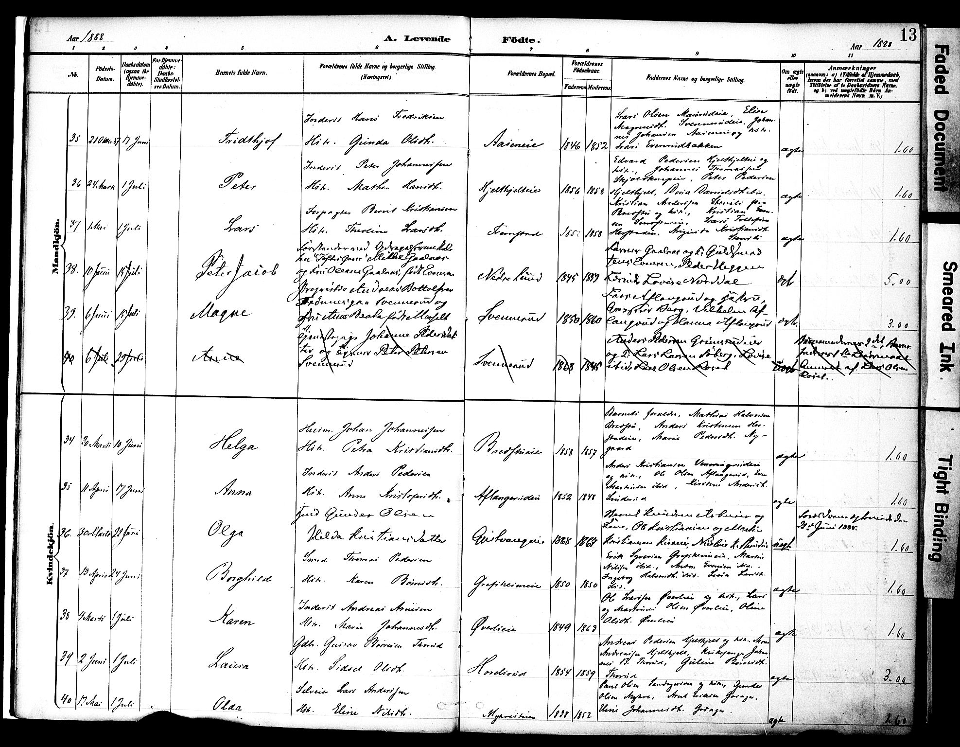 Nes prestekontor, Hedmark, AV/SAH-PREST-020/K/Ka/L0009: Parish register (official) no. 9, 1887-1905, p. 13