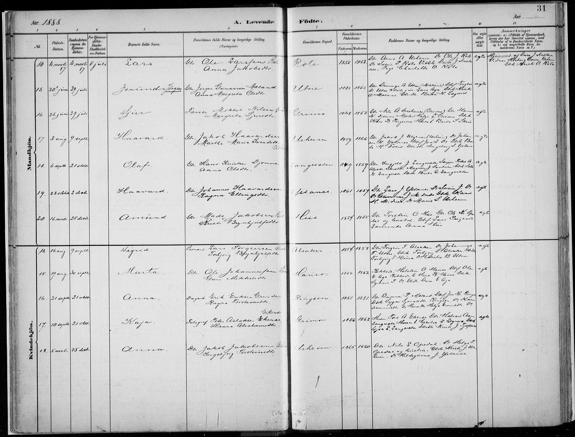Ullensvang sokneprestembete, SAB/A-78701/H/Haa: Parish register (official) no. E  1, 1882-1921, p. 31