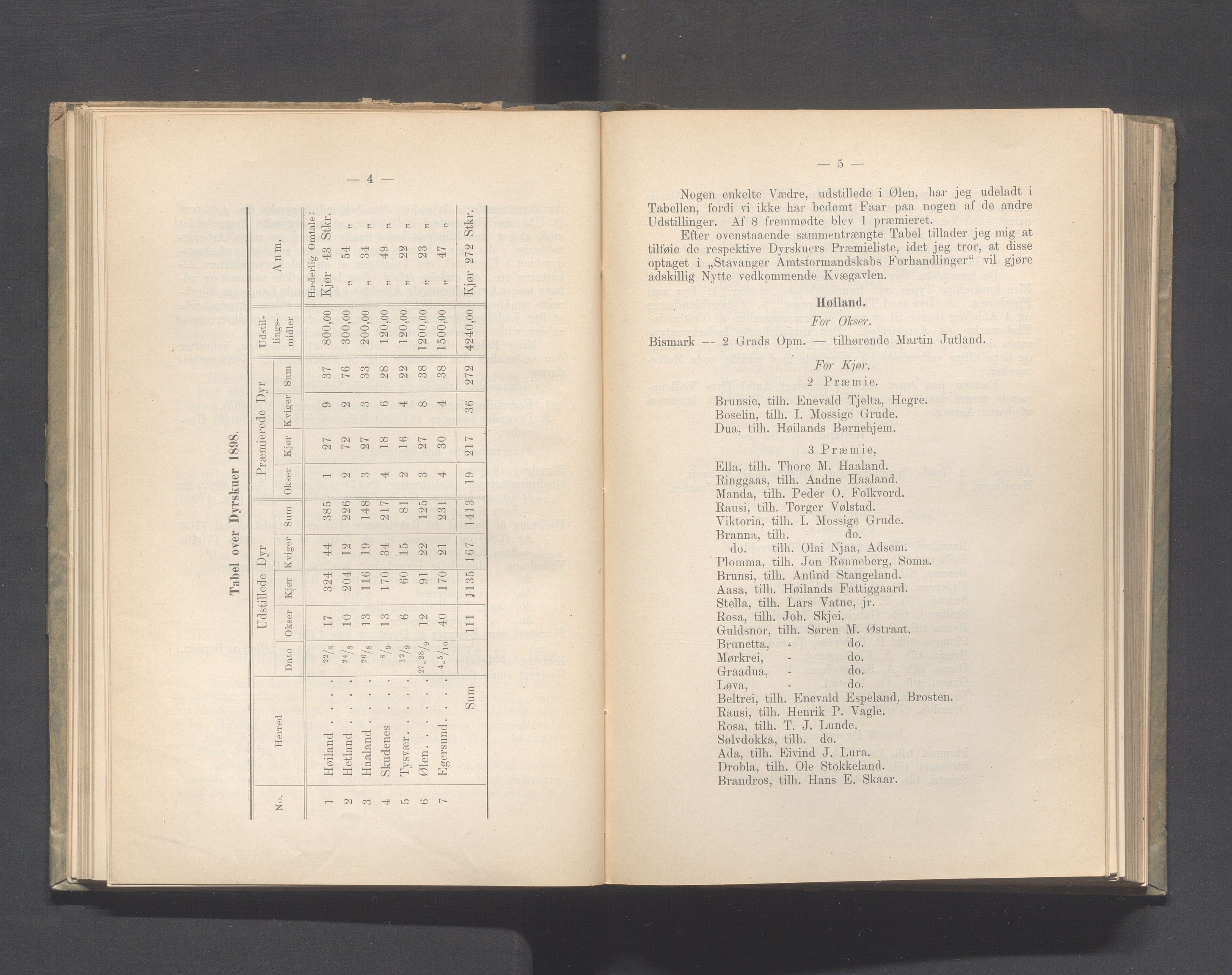 Rogaland fylkeskommune - Fylkesrådmannen , IKAR/A-900/A, 1899, p. 59