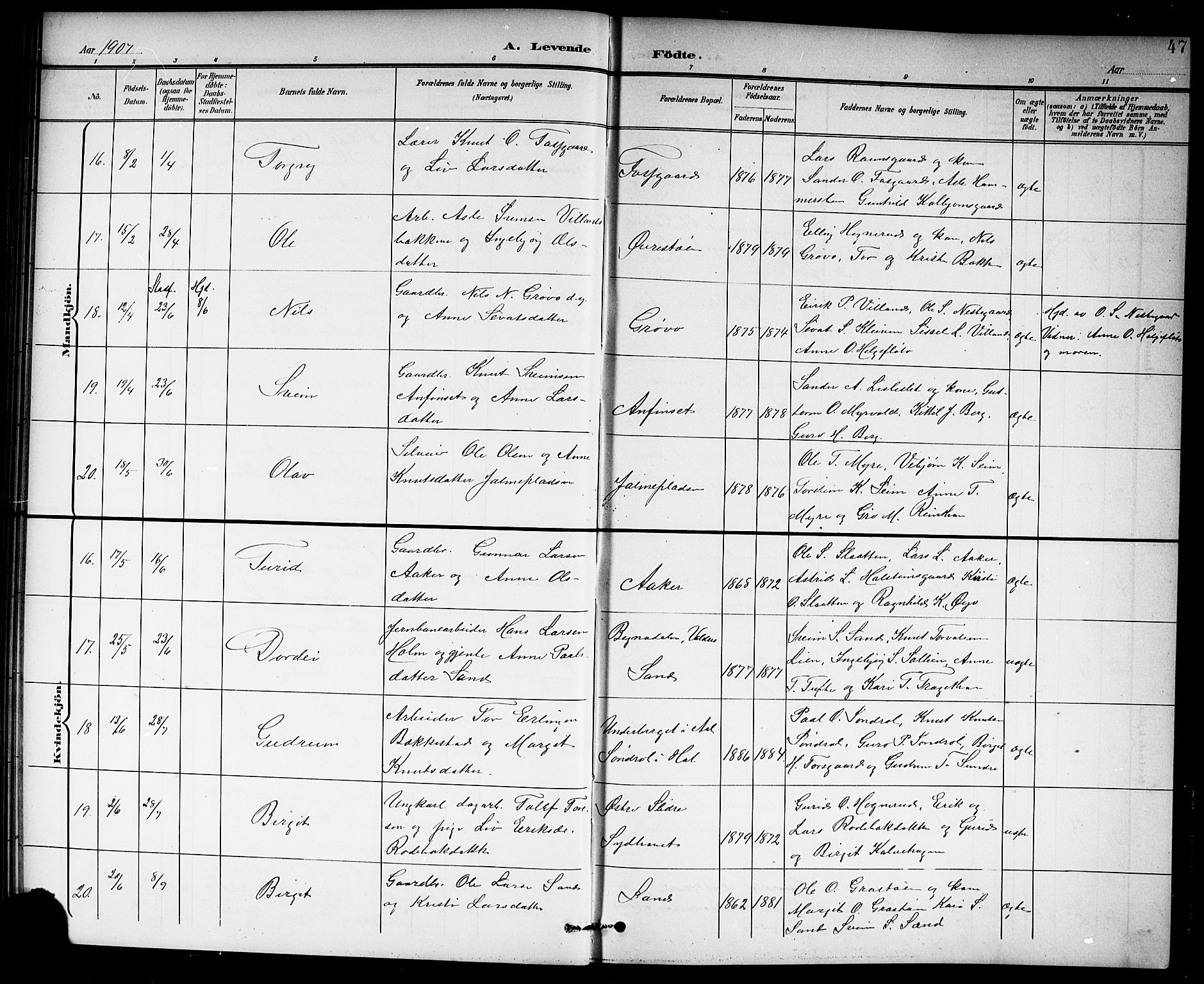 Hol kirkebøker, AV/SAKO-A-227/G/Ga/L0001: Parish register (copy) no. I 1, 1900-1919, p. 47