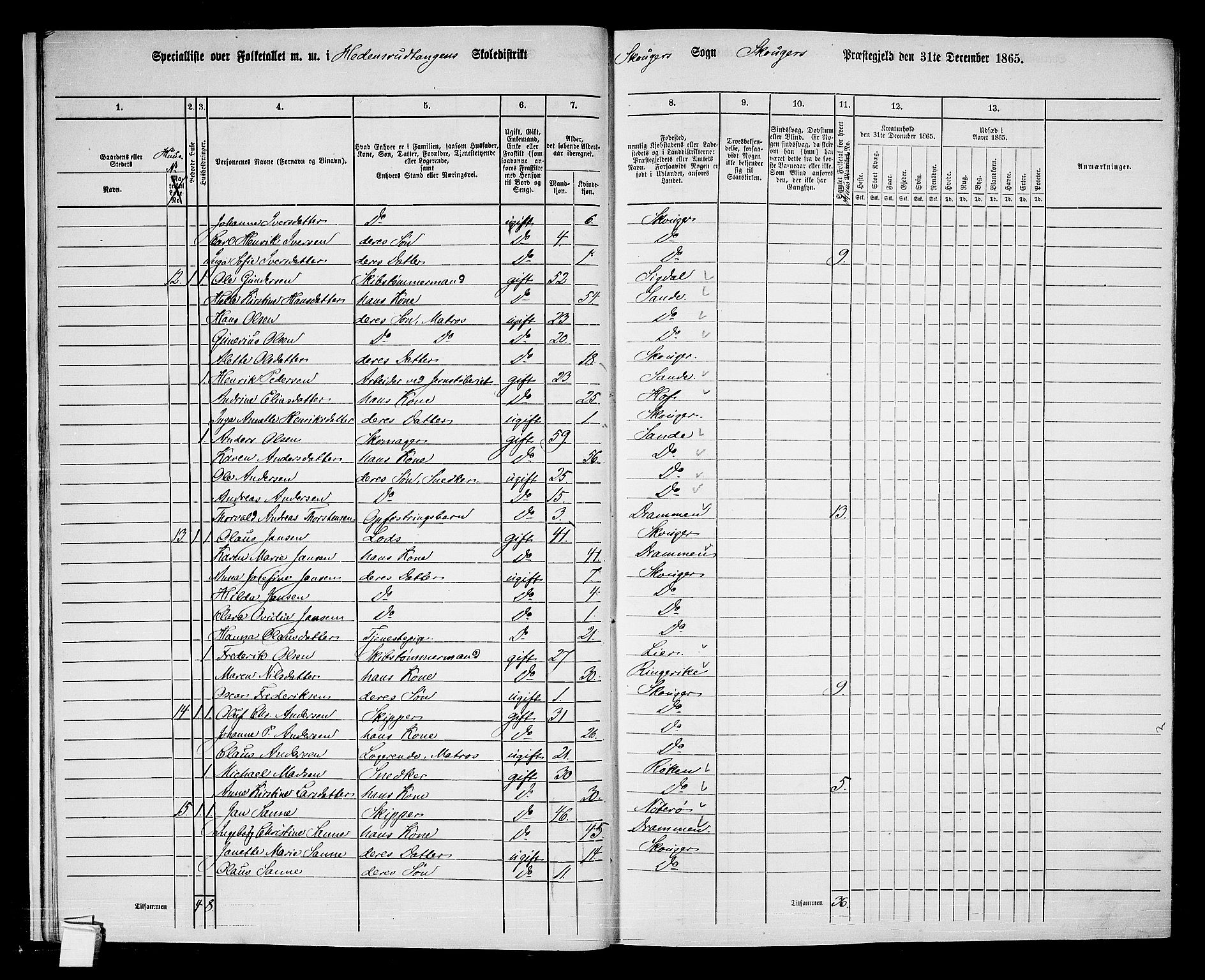 RA, 1865 census for Skoger, 1865, p. 17