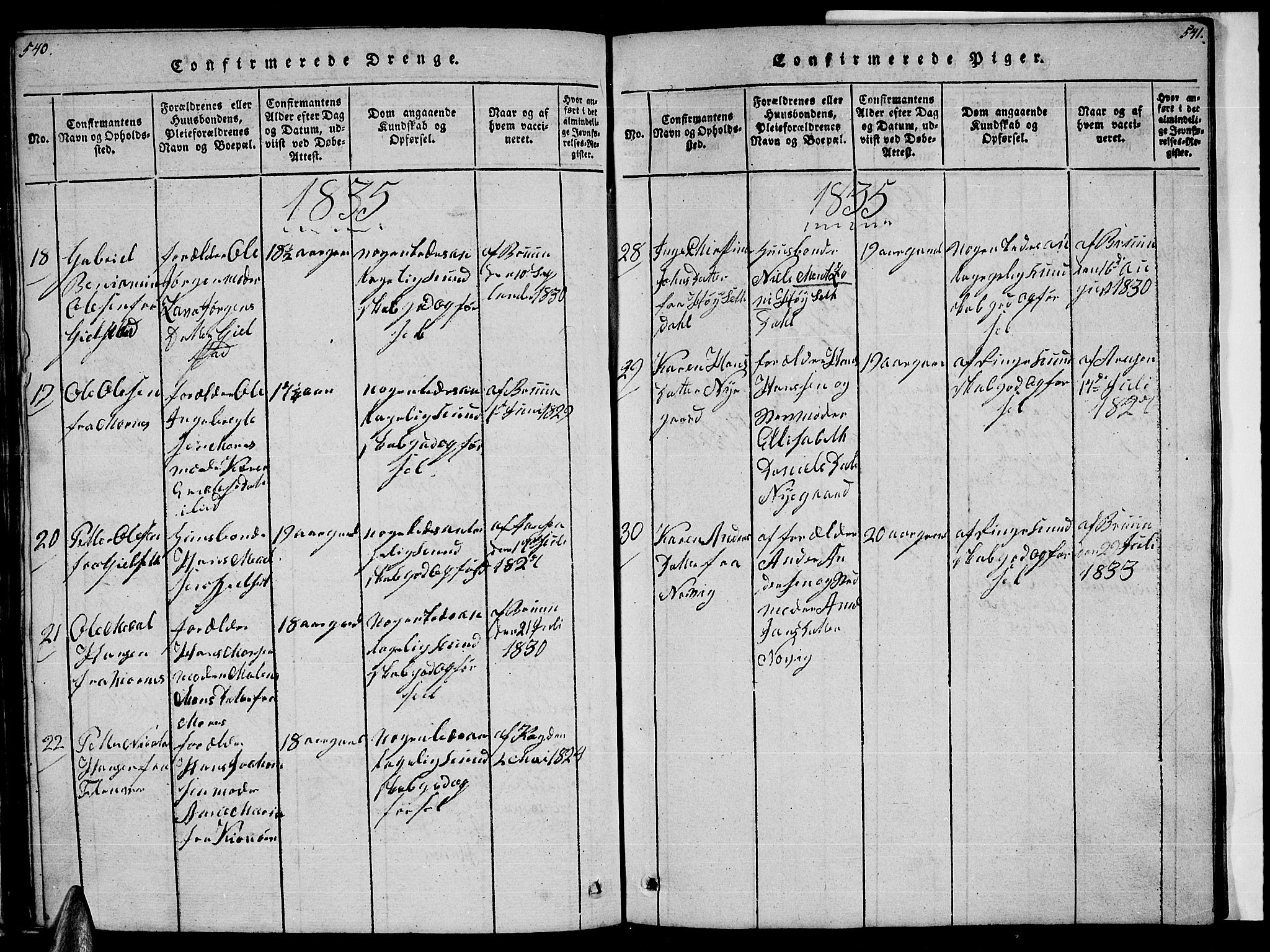 Ministerialprotokoller, klokkerbøker og fødselsregistre - Nordland, AV/SAT-A-1459/805/L0105: Parish register (copy) no. 805C01, 1820-1839, p. 540-541