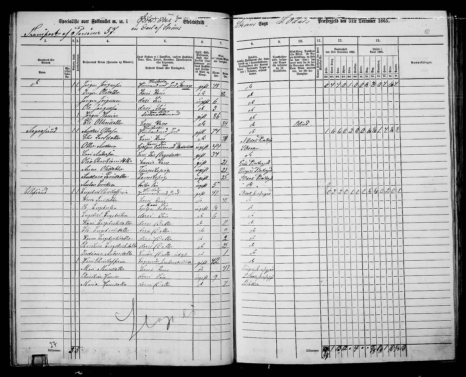 RA, 1865 census for Sør-Odal, 1865, p. 116