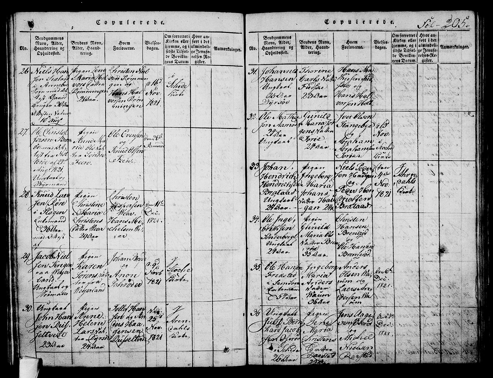 Stokke kirkebøker, SAKO/A-320/F/Fa/L0005: Parish register (official) no. I 5, 1815-1826, p. 205