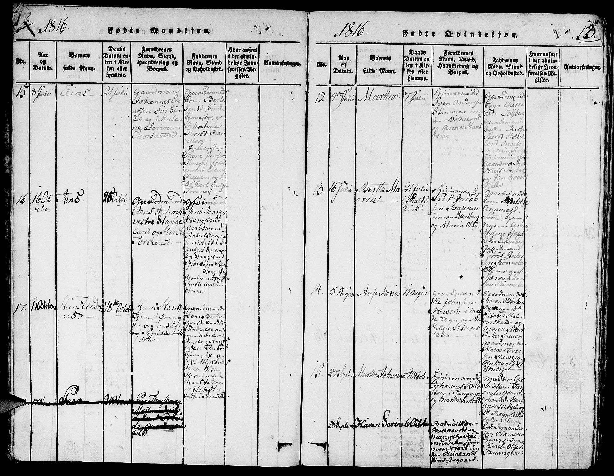 Håland sokneprestkontor, AV/SAST-A-101802/001/30BA/L0004: Parish register (official) no. A 4, 1815-1829, p. 12-13