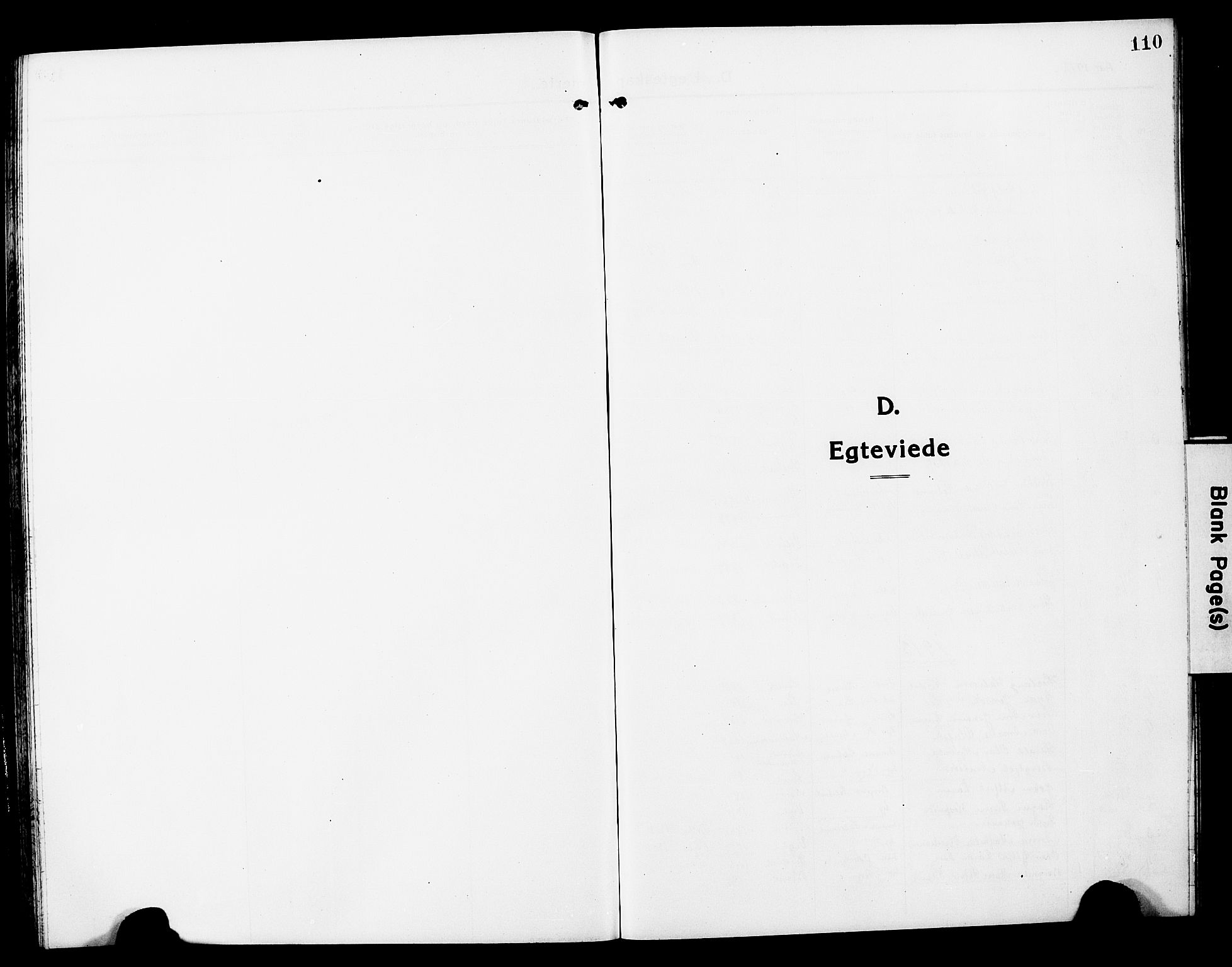 Ministerialprotokoller, klokkerbøker og fødselsregistre - Nord-Trøndelag, SAT/A-1458/780/L0653: Parish register (copy) no. 780C05, 1911-1927, p. 110