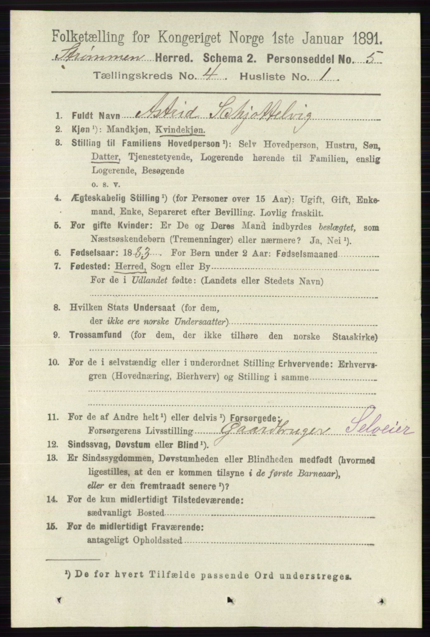 RA, 1891 census for 0711 Strømm, 1891, p. 1585