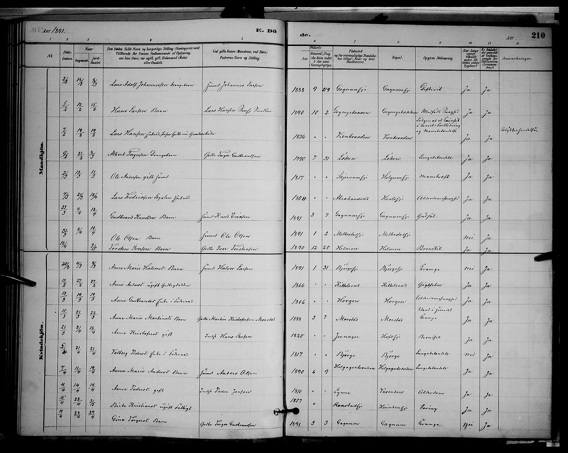 Gran prestekontor, SAH/PREST-112/H/Ha/Hab/L0002: Parish register (copy) no. 2, 1879-1892, p. 210