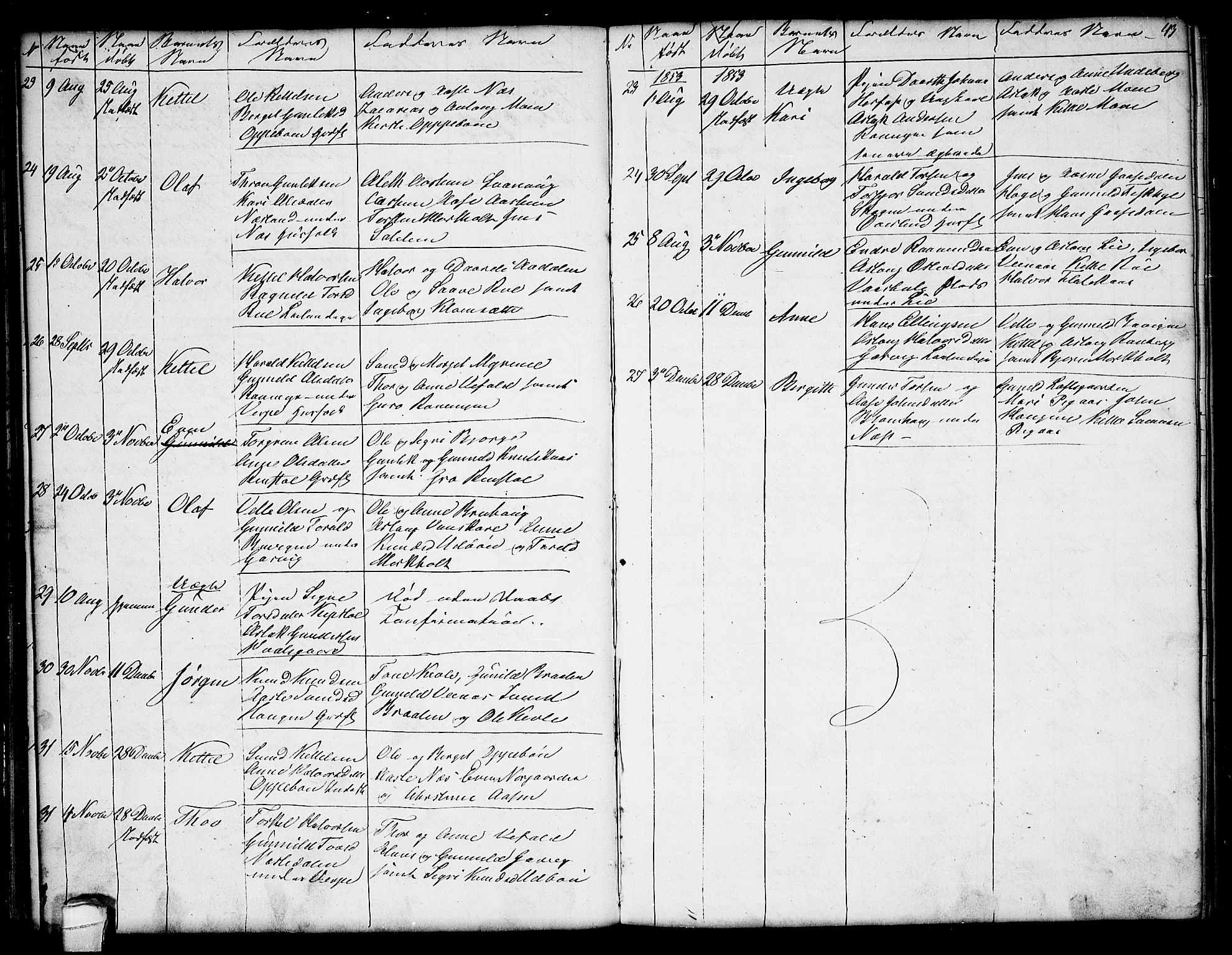 Seljord kirkebøker, SAKO/A-20/G/Ga/L0002: Parish register (copy) no. I 2, 1838-1866, p. 43