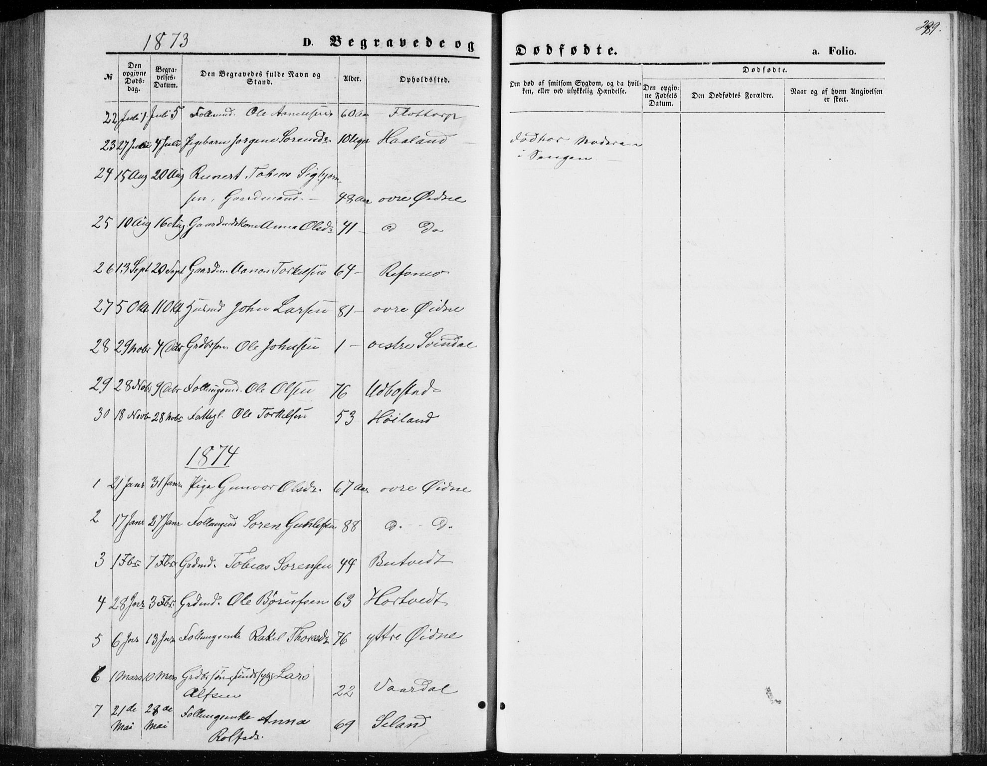 Bjelland sokneprestkontor, SAK/1111-0005/F/Fb/Fbc/L0002: Parish register (copy) no. B 2, 1867-1887, p. 289