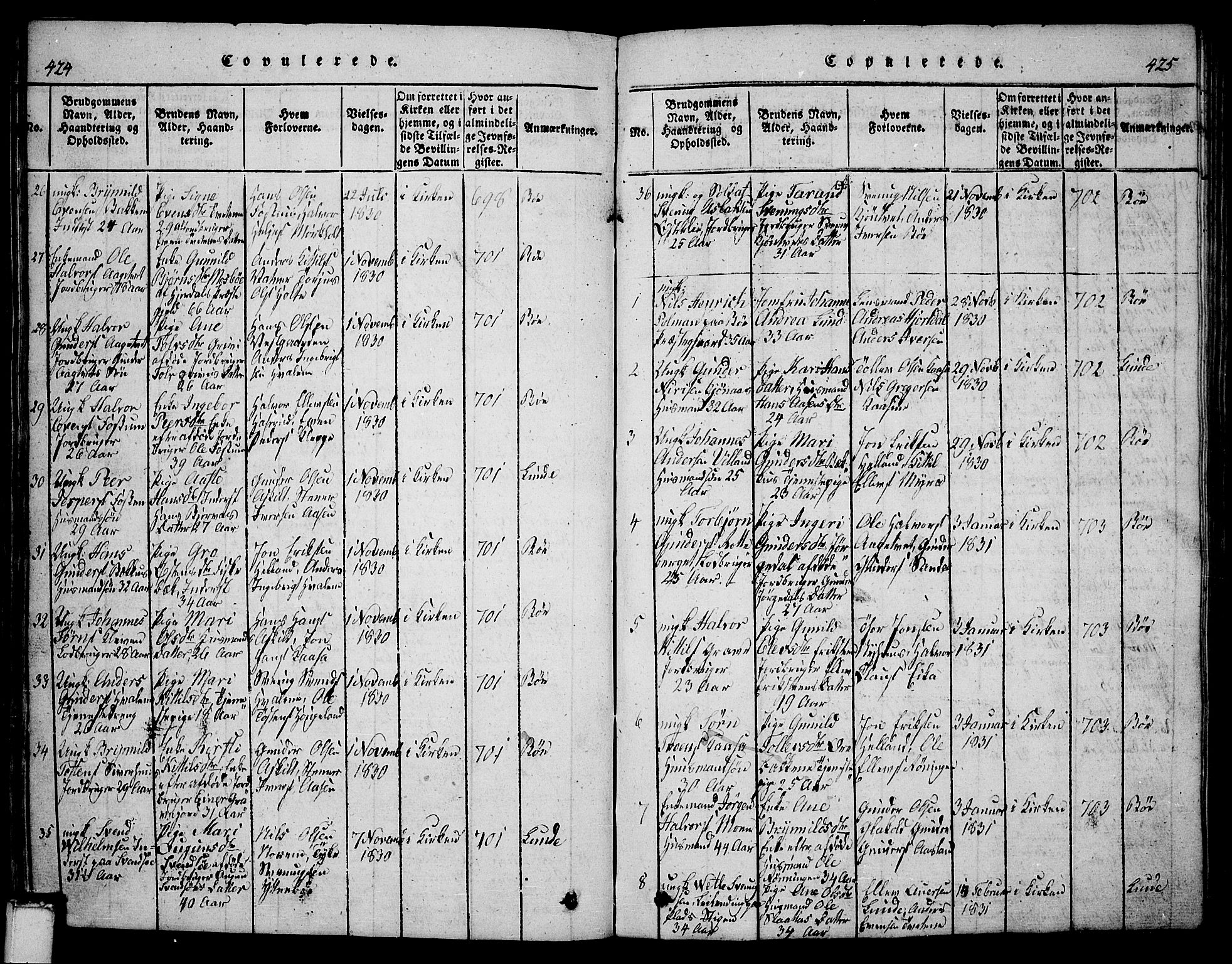 Bø kirkebøker, SAKO/A-257/G/Ga/L0001: Parish register (copy) no. 1, 1815-1831, p. 424-425