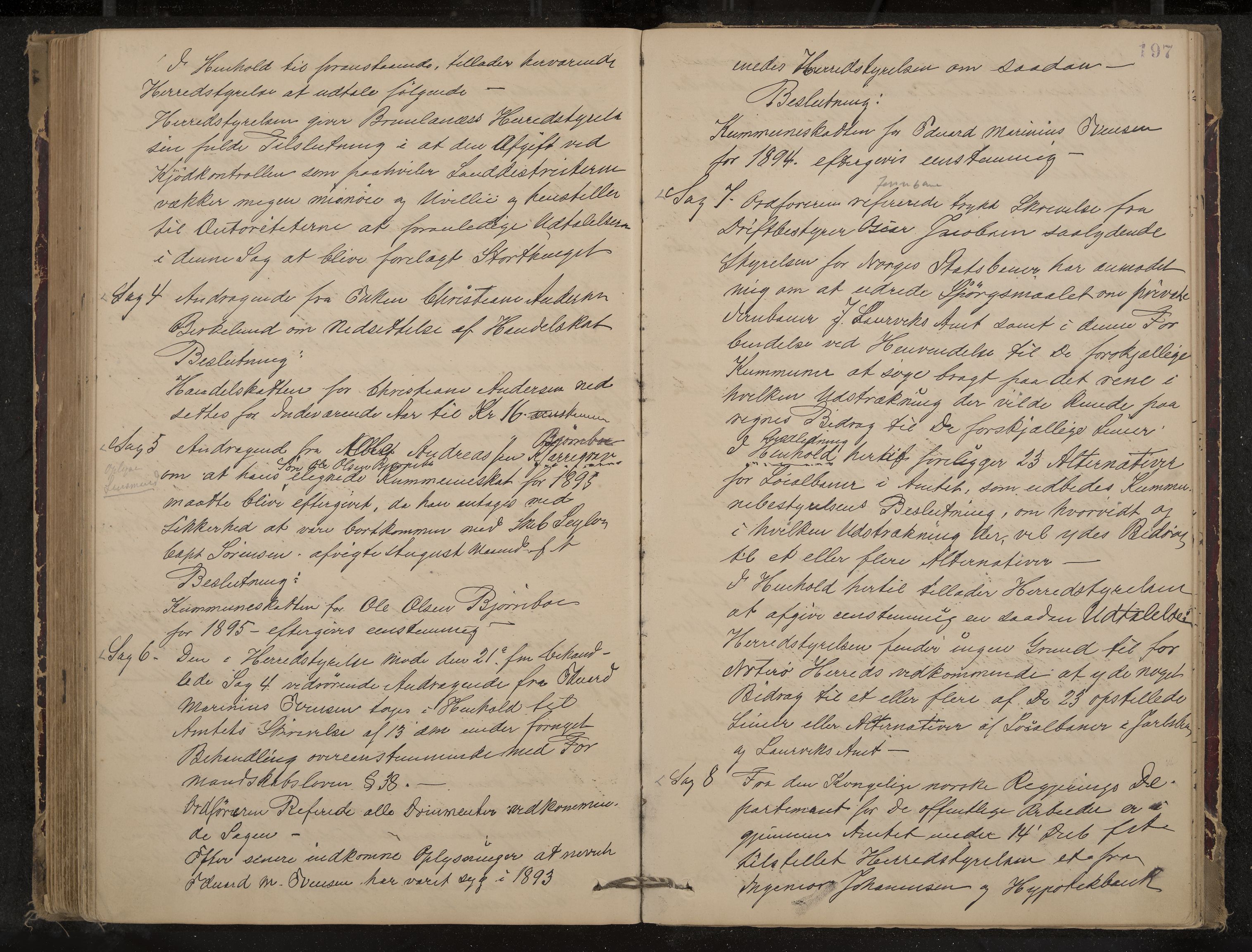 Nøtterøy formannskap og sentraladministrasjon, IKAK/0722021-1/A/Aa/L0004: Møtebok, 1887-1896, p. 197