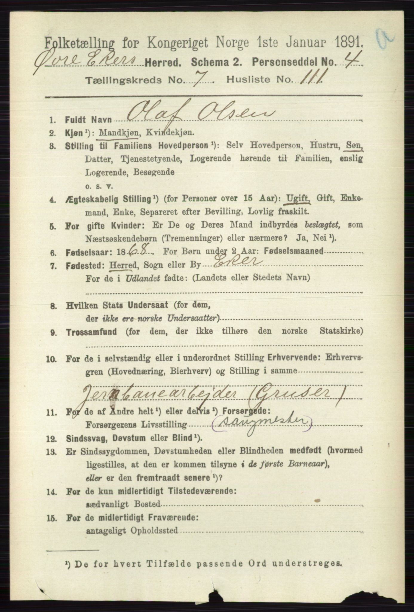RA, 1891 census for 0624 Øvre Eiker, 1891, p. 3119