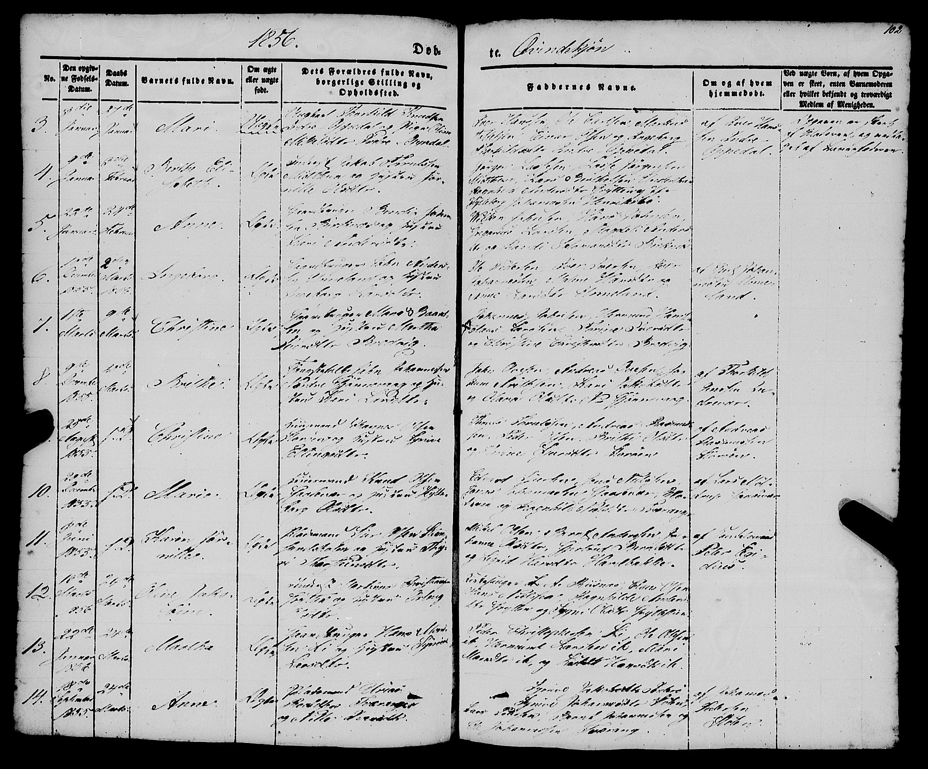 Gulen sokneprestembete, AV/SAB-A-80201/H/Haa/Haaa/L0021: Parish register (official) no. A 21, 1848-1858, p. 102