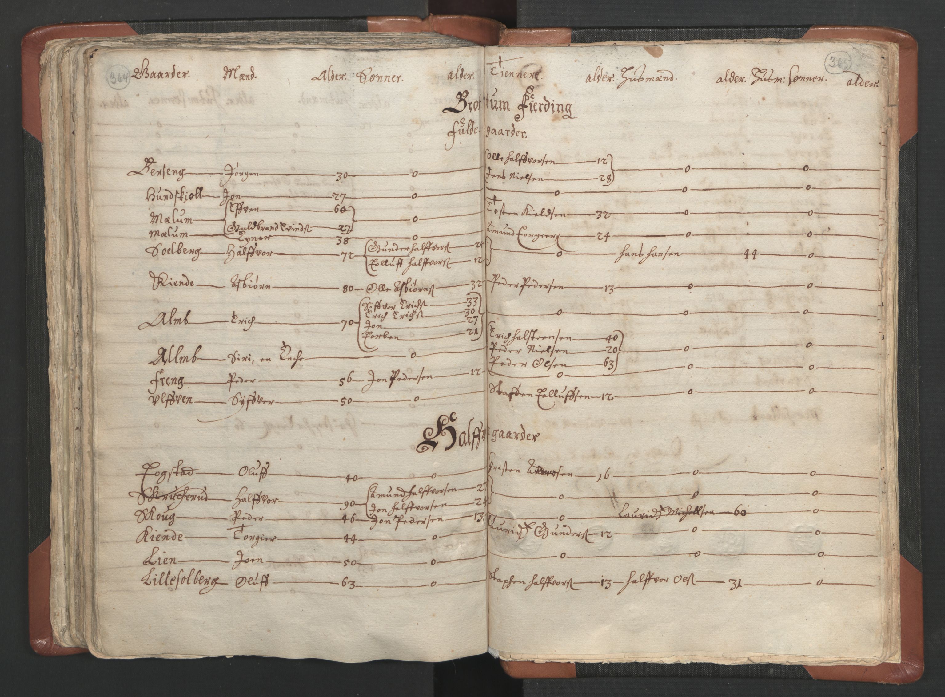 RA, Vicar's Census 1664-1666, no. 5: Hedmark deanery, 1664-1666, p. 364-365