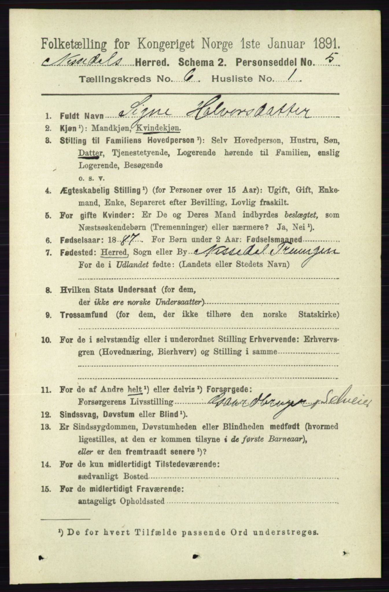 RA, 1891 census for 0830 Nissedal, 1891, p. 1336