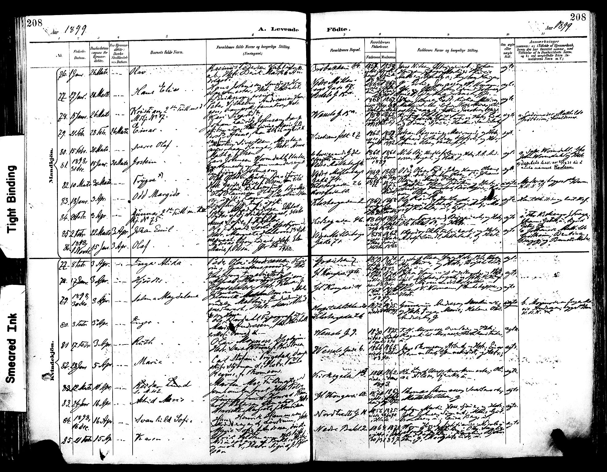 Ministerialprotokoller, klokkerbøker og fødselsregistre - Sør-Trøndelag, SAT/A-1456/604/L0197: Parish register (official) no. 604A18, 1893-1900, p. 208