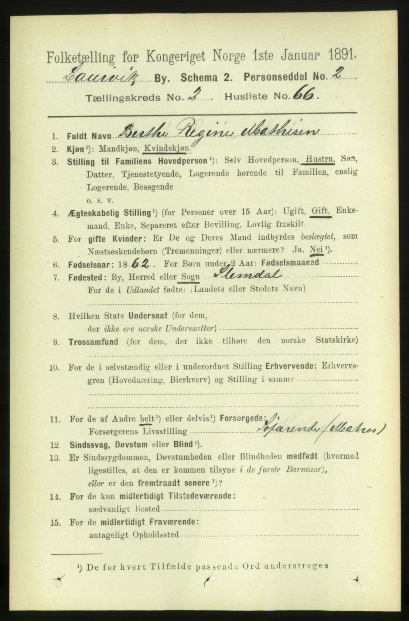 RA, 1891 census for 0707 Larvik, 1891, p. 4053