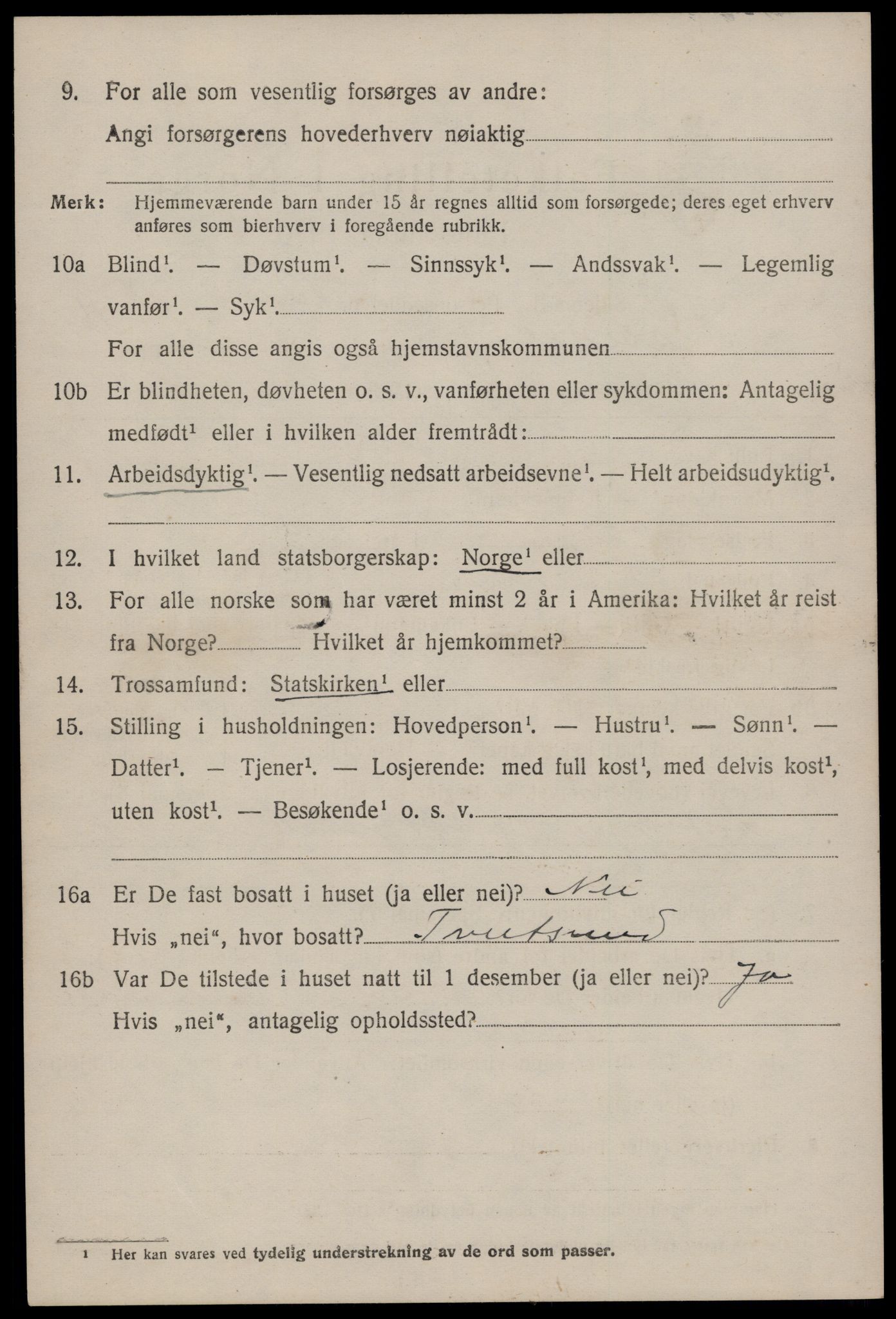 SAKO, 1920 census for Nissedal, 1920, p. 4702