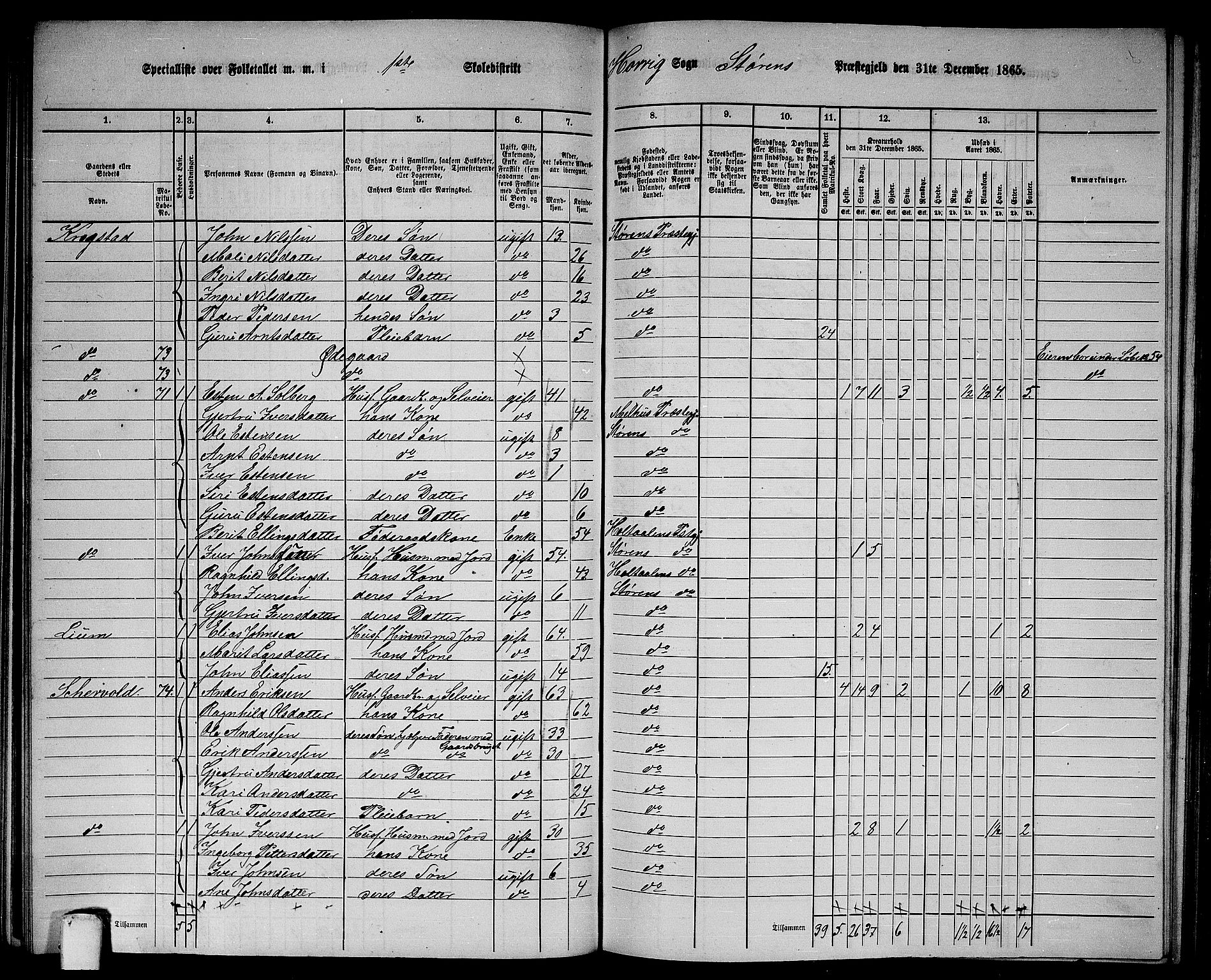 RA, 1865 census for Støren, 1865, p. 130