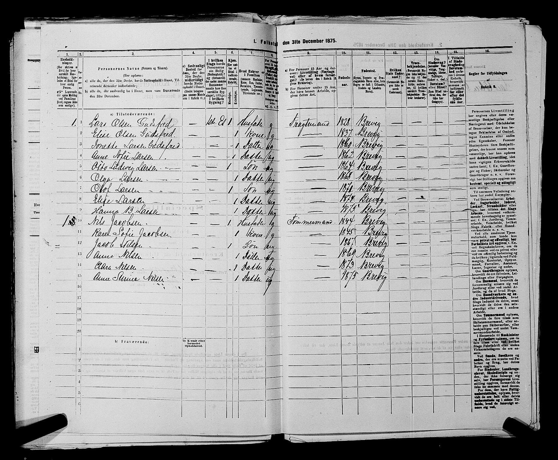 SAKO, 1875 census for 0804P Brevik, 1875, p. 485