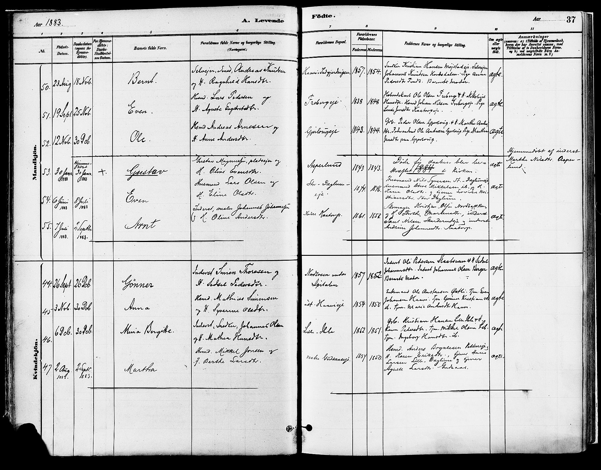 Vang prestekontor, Hedmark, SAH/PREST-008/H/Ha/Haa/L0018A: Parish register (official) no. 18A, 1880-1906, p. 37