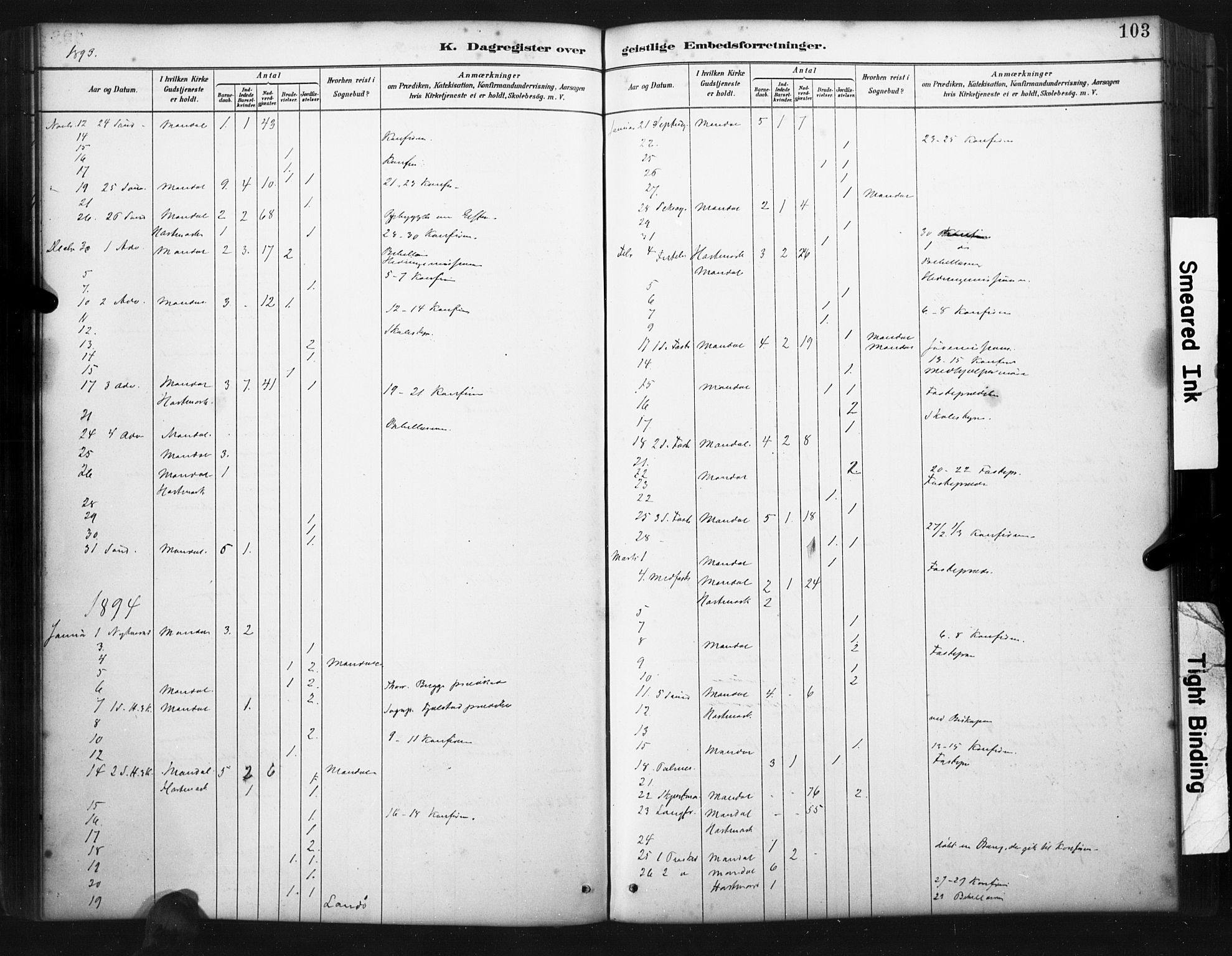 Mandal sokneprestkontor, AV/SAK-1111-0030/F/Fa/Faa/L0017: Parish register (official) no. A 17, 1880-1926, p. 103