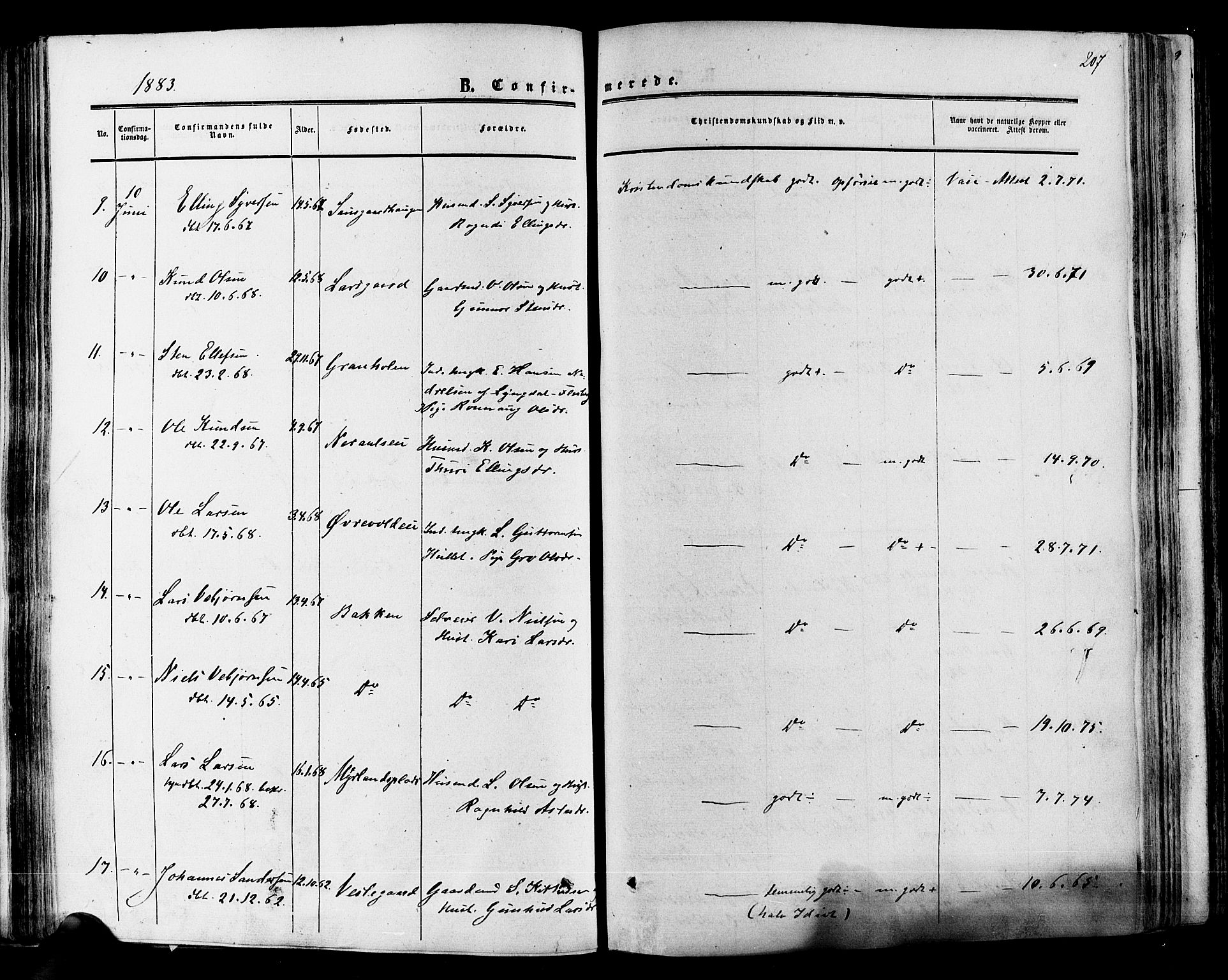 Hol kirkebøker, SAKO/A-227/F/Fa/L0002: Parish register (official) no. I 2, 1870-1886, p. 207