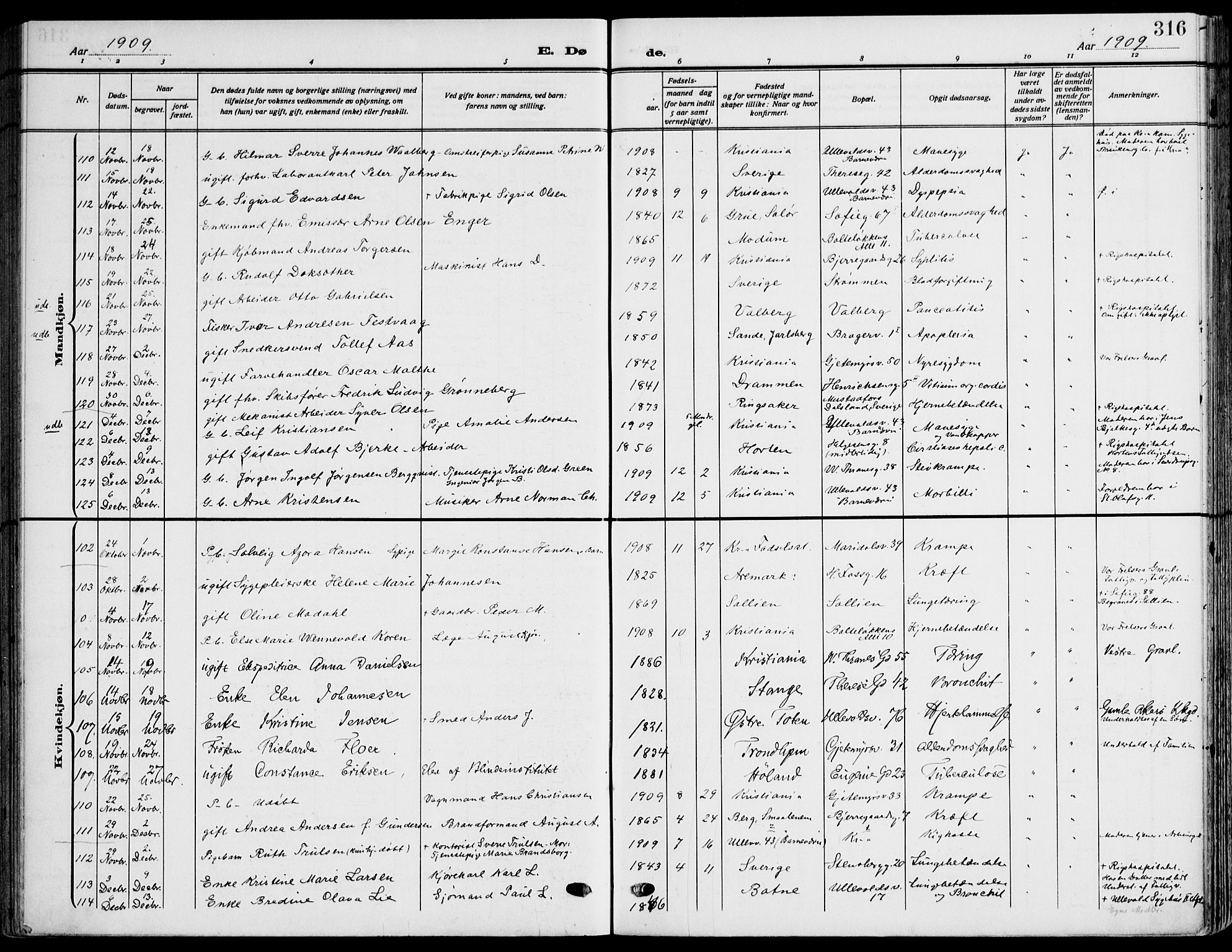 Gamle Aker prestekontor Kirkebøker, SAO/A-10617a/F/L0014: Parish register (official) no. 14, 1909-1924, p. 316