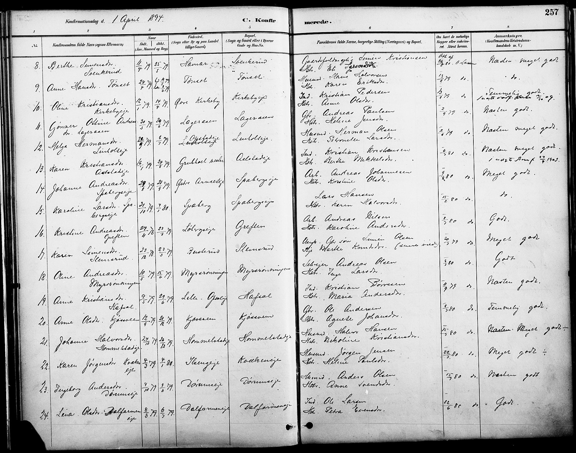 Vang prestekontor, Hedmark, AV/SAH-PREST-008/H/Ha/Haa/L0019A: Parish register (official) no. 19, 1886-1900, p. 257