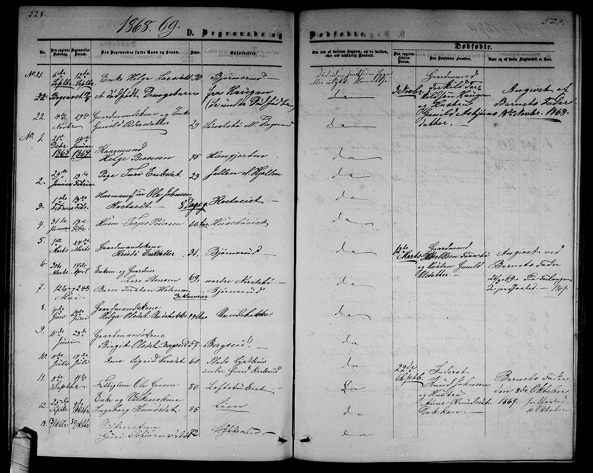 Nore kirkebøker, AV/SAKO-A-238/G/Gb/L0001: Parish register (copy) no. II 1, 1862-1877, p. 528-529