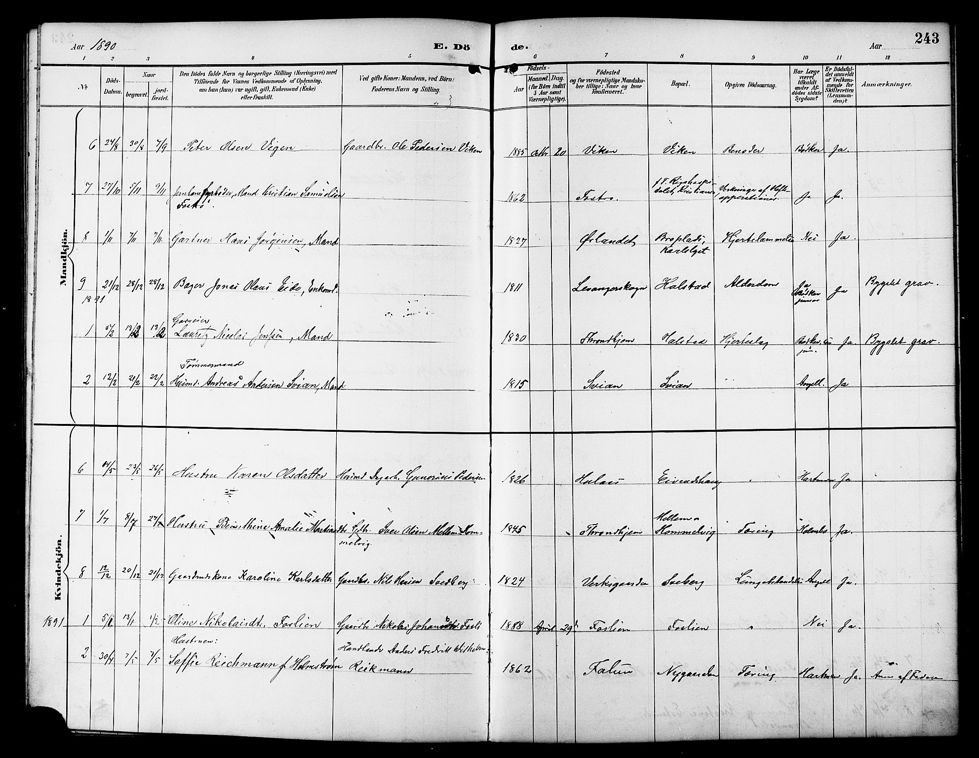 Ministerialprotokoller, klokkerbøker og fødselsregistre - Sør-Trøndelag, SAT/A-1456/617/L0431: Parish register (copy) no. 617C01, 1889-1910, p. 243