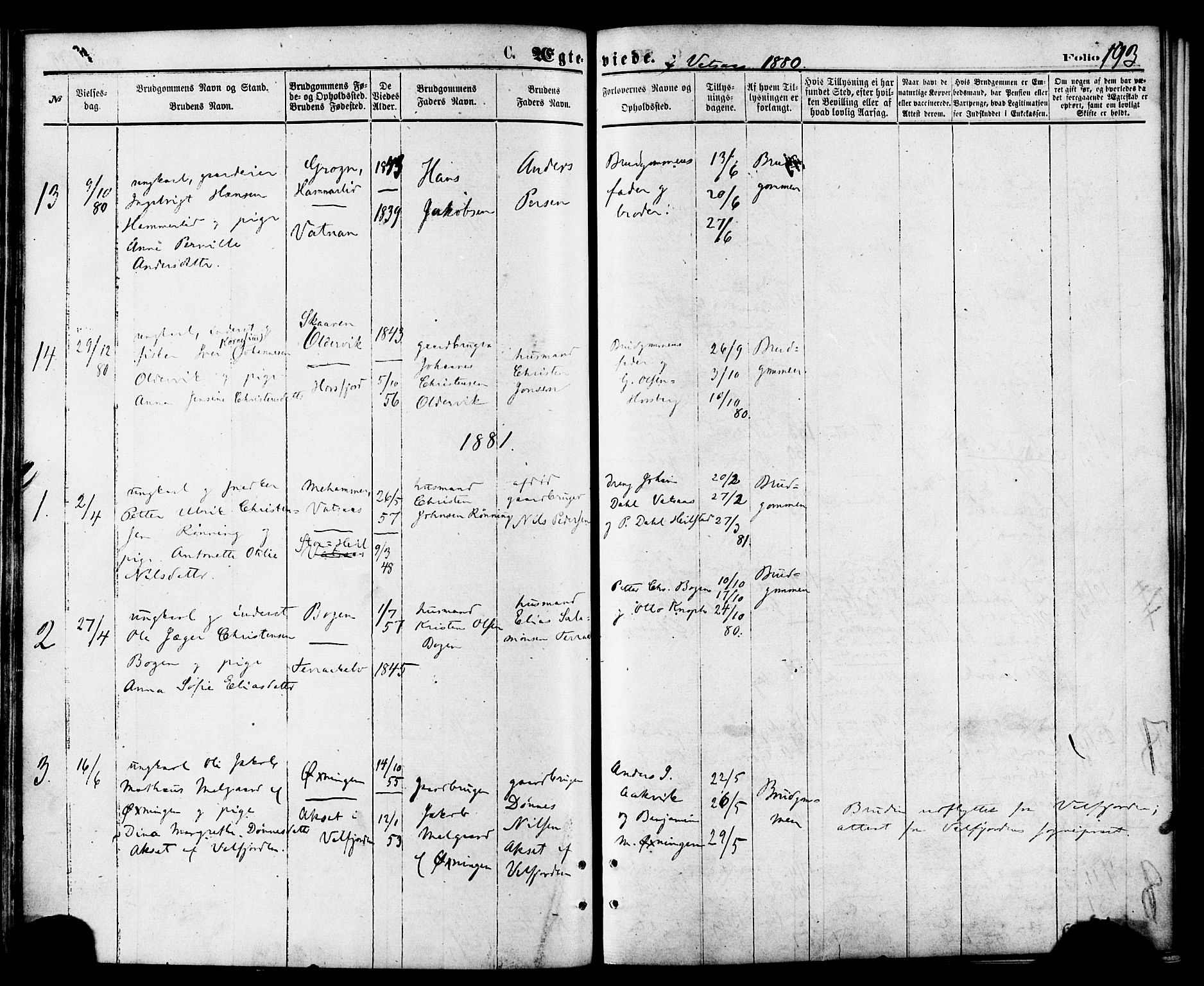 Ministerialprotokoller, klokkerbøker og fødselsregistre - Nordland, AV/SAT-A-1459/810/L0148: Parish register (official) no. 810A09 /1, 1874-1884, p. 193