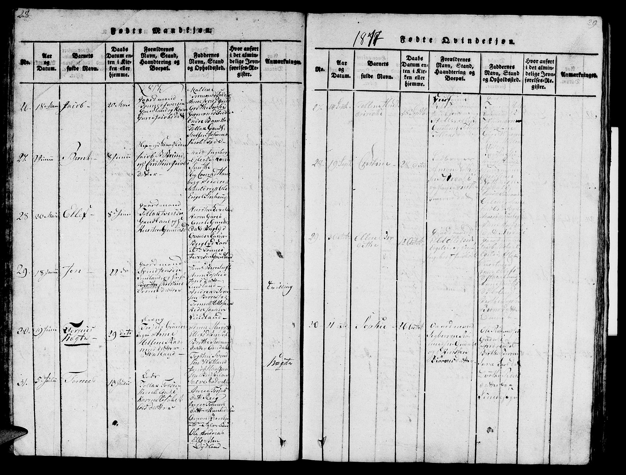 Sokndal sokneprestkontor, AV/SAST-A-101808: Parish register (official) no. A 6, 1815-1826, p. 28-29