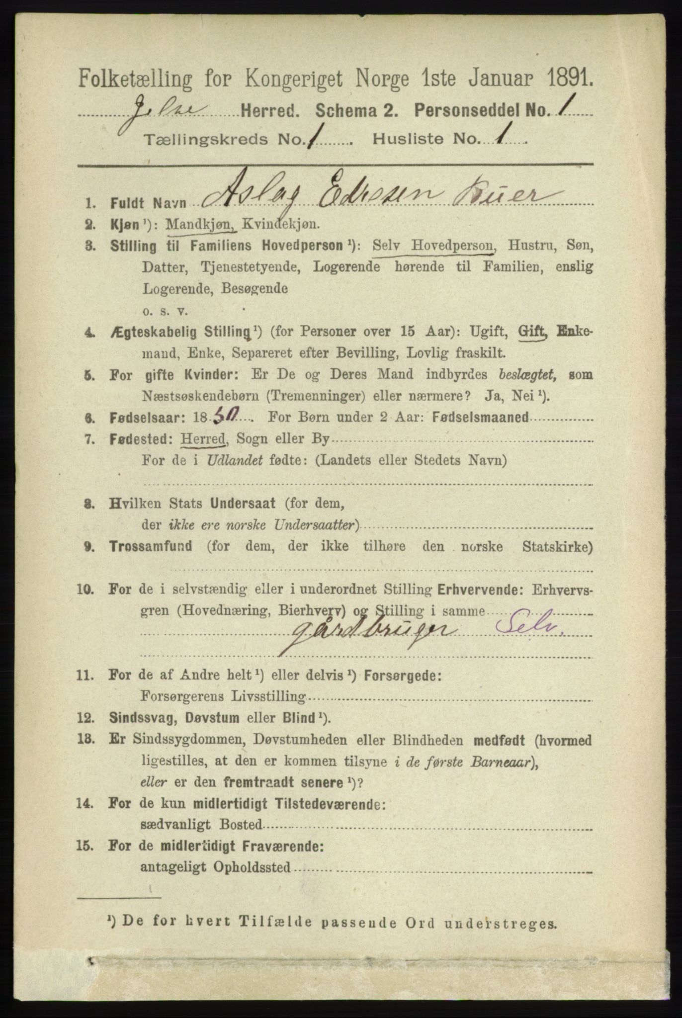 RA, 1891 census for 1138 Jelsa, 1891, p. 72