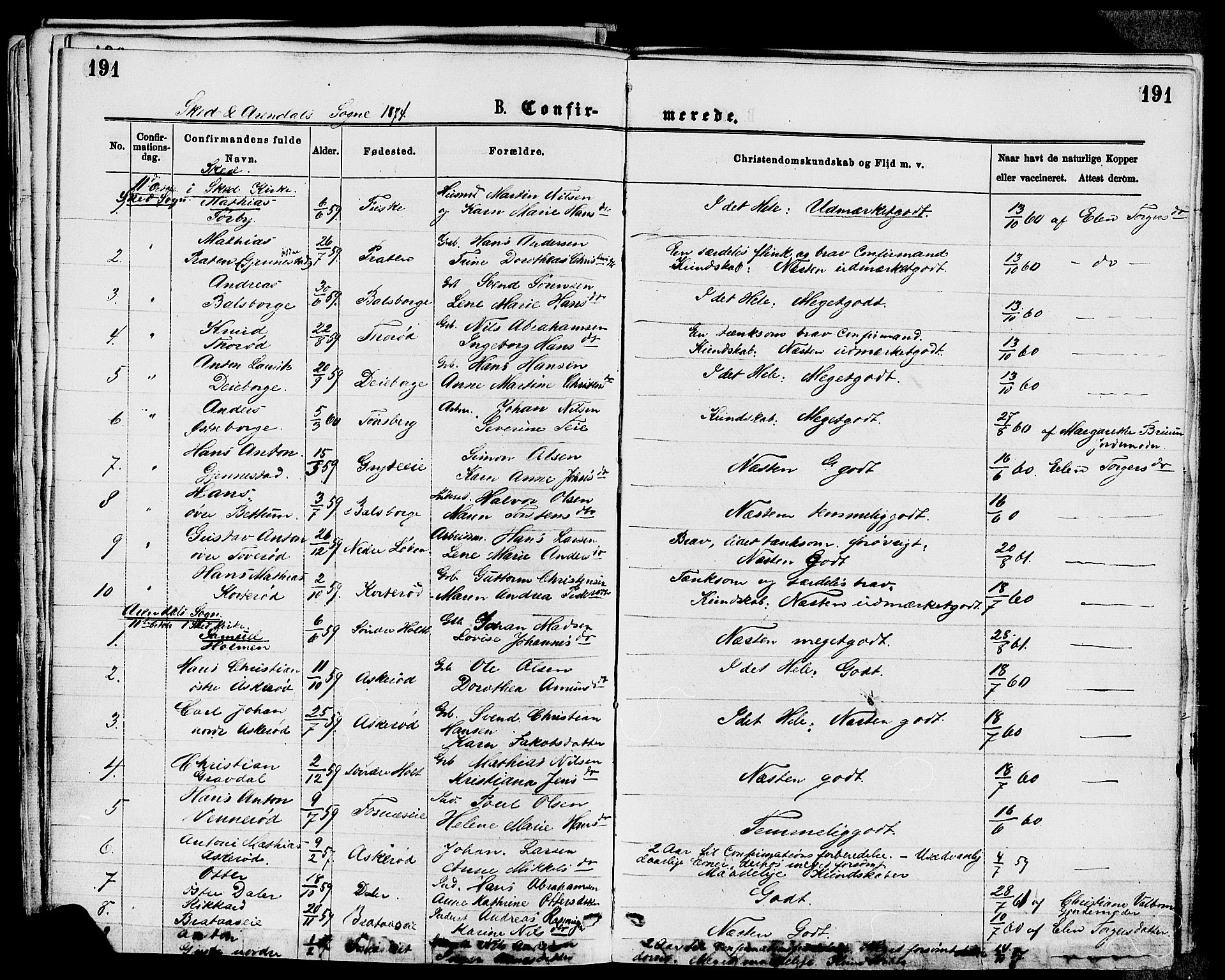 Stokke kirkebøker, AV/SAKO-A-320/F/Fa/L0009: Parish register (official) no. I 9, 1872-1883, p. 191