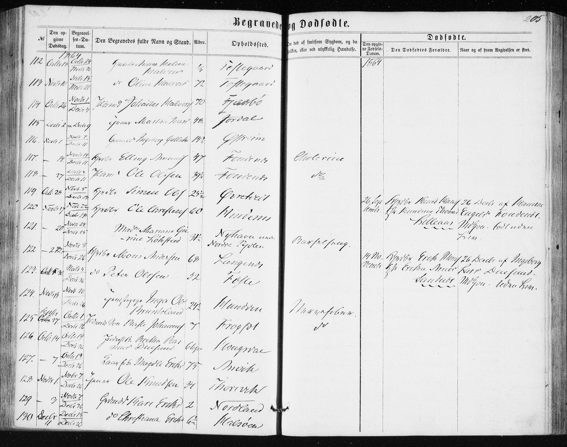 Lindås Sokneprestembete, AV/SAB-A-76701/H/Haa/Haaa/L0016: Parish register (official) no. A 16, 1863-1875, p. 205