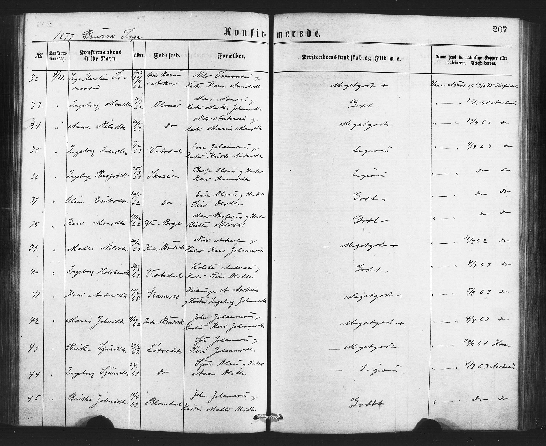 Bruvik Sokneprestembete, AV/SAB-A-74701/H/Haa: Parish register (official) no. A 1, 1869-1877, p. 207