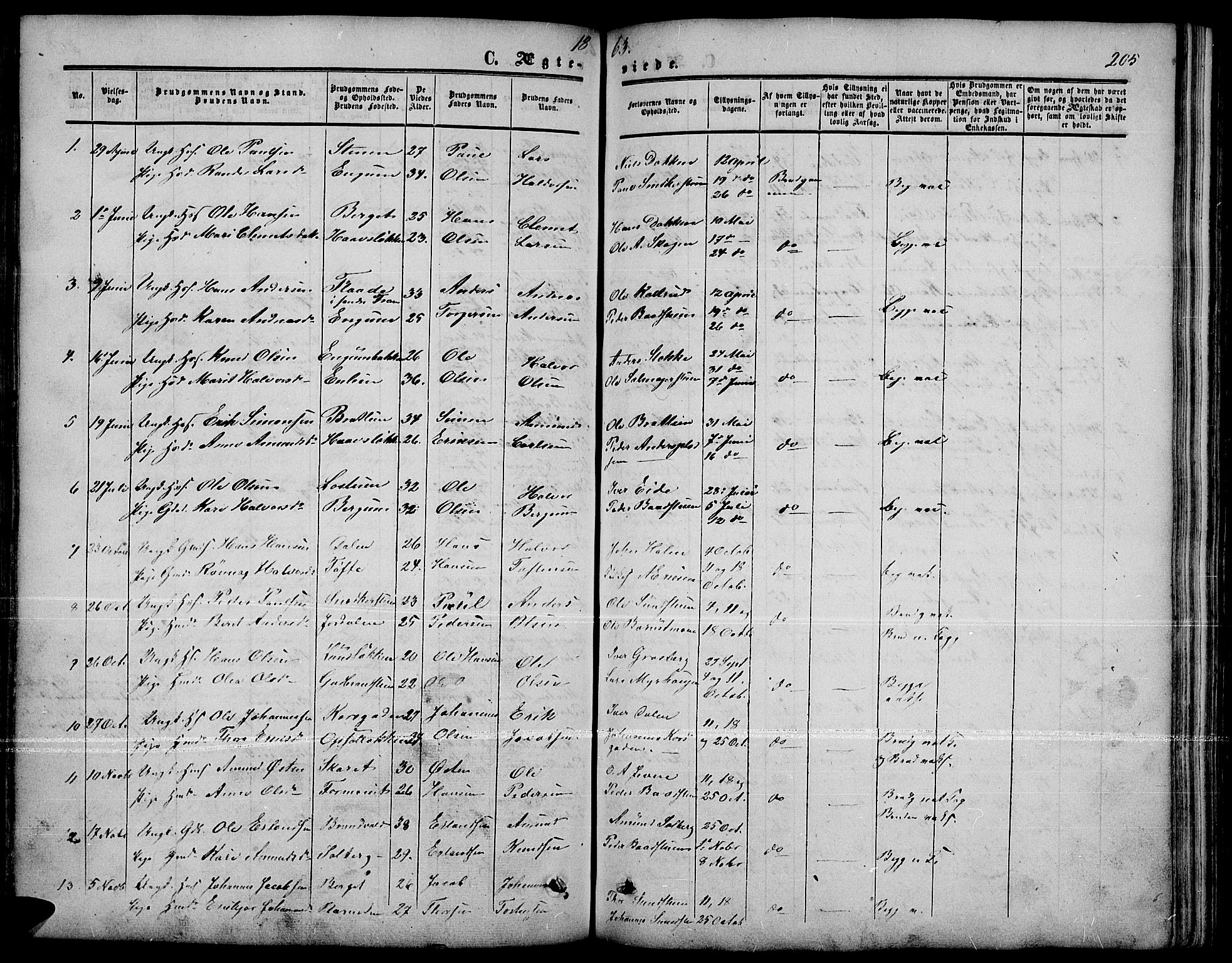 Nord-Fron prestekontor, AV/SAH-PREST-080/H/Ha/Hab/L0001: Parish register (copy) no. 1, 1851-1883, p. 205