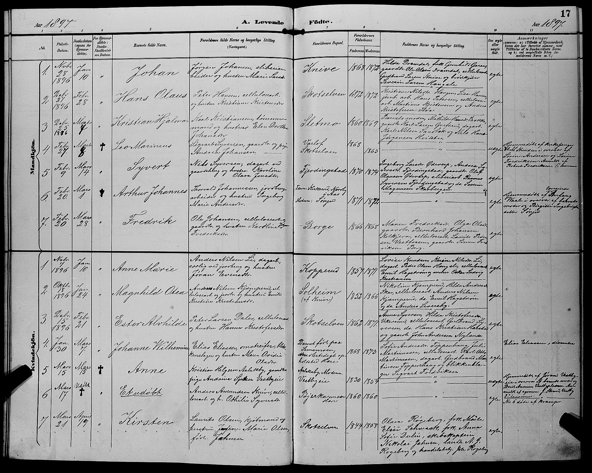 Eiker kirkebøker, AV/SAKO-A-4/G/Gb/L0004: Parish register (copy) no. II 4, 1894-1900, p. 17