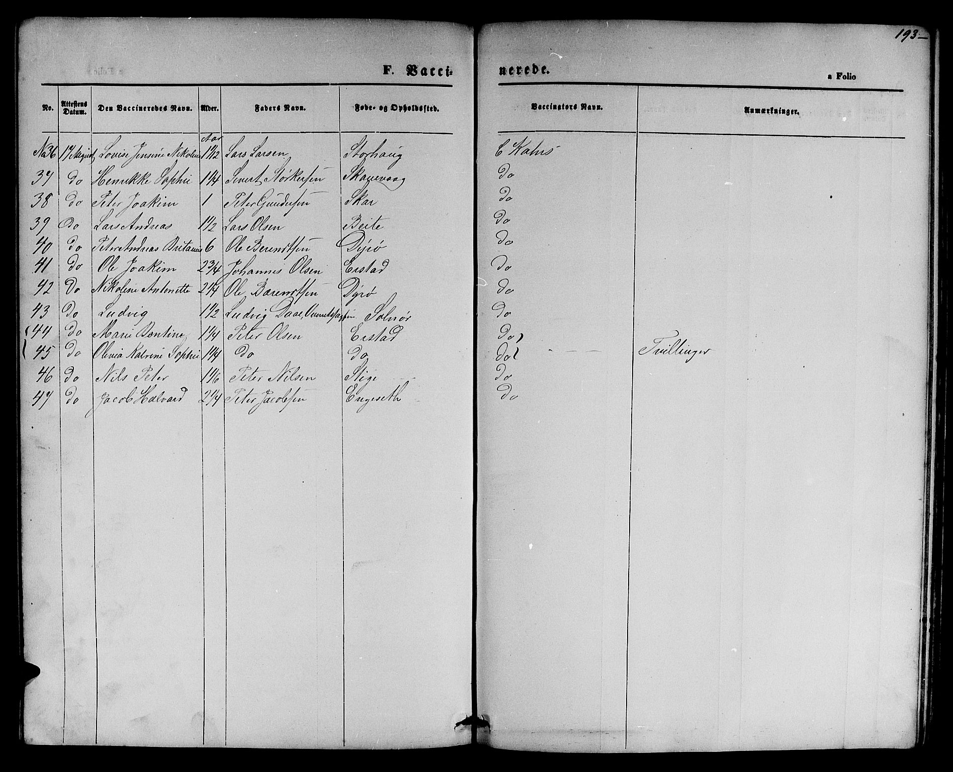 Ministerialprotokoller, klokkerbøker og fødselsregistre - Møre og Romsdal, AV/SAT-A-1454/524/L0364: Parish register (copy) no. 524C05, 1865-1879, p. 193