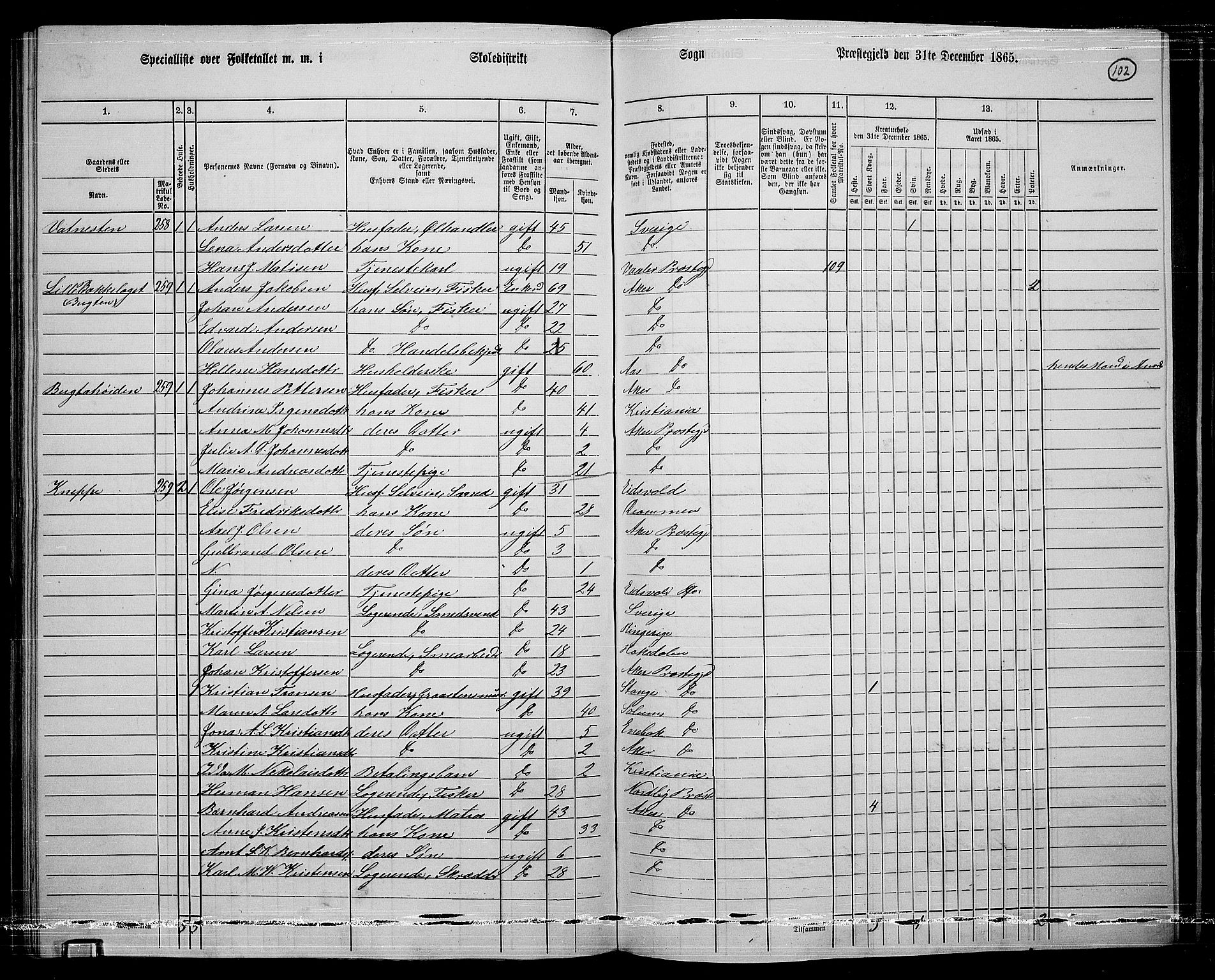 RA, 1865 census for Østre Aker, 1865, p. 326