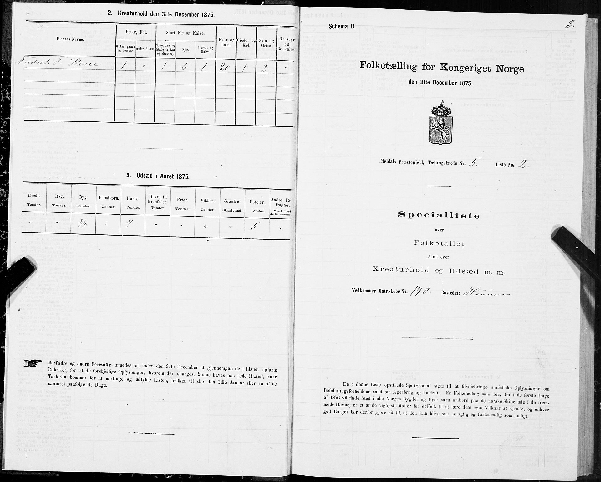 SAT, 1875 census for 1636P Meldal, 1875, p. 3003