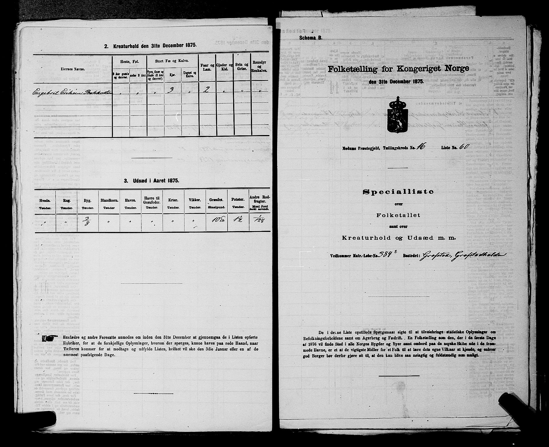 SAKO, 1875 census for 0623P Modum, 1875, p. 2164