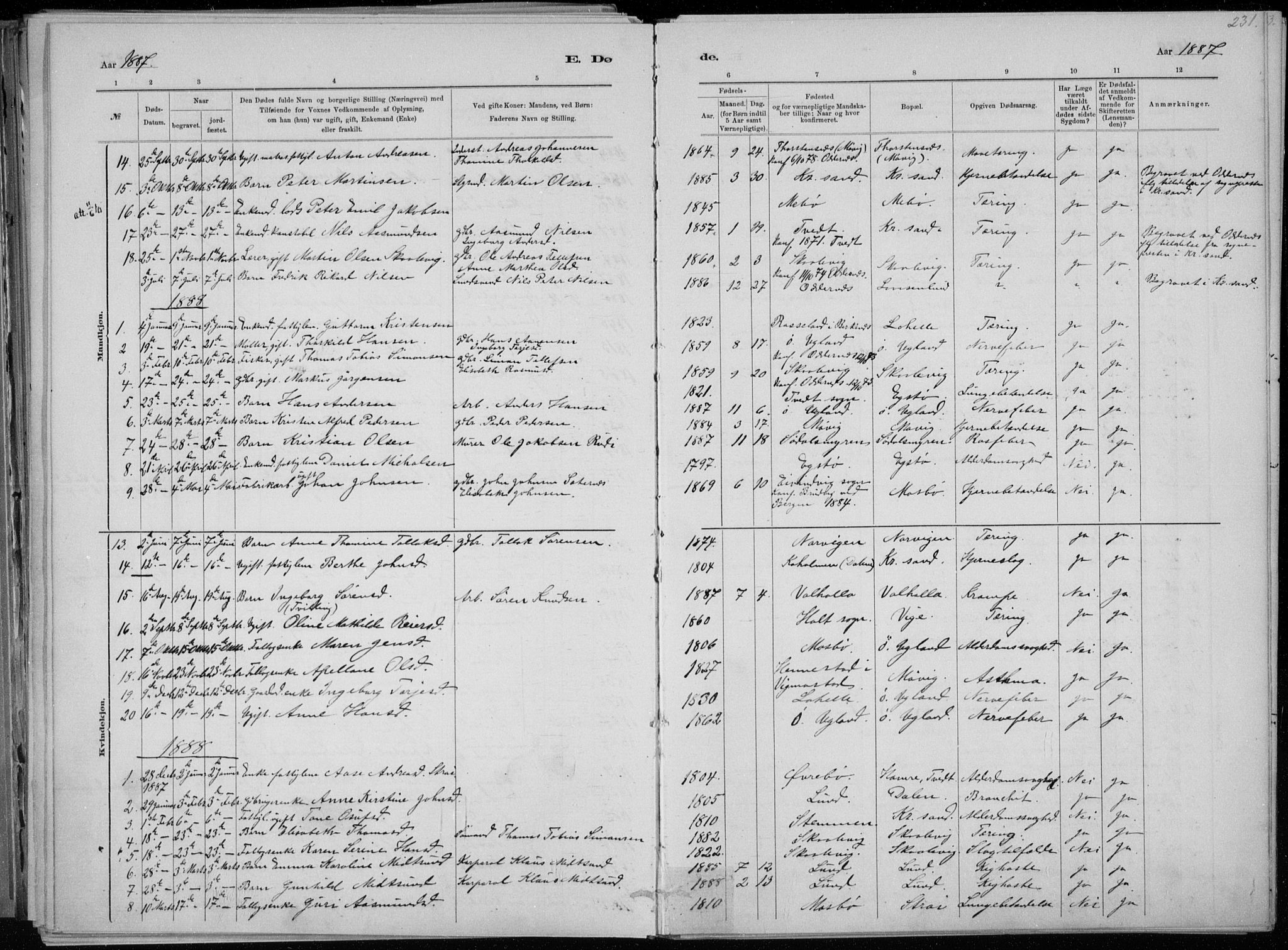 Oddernes sokneprestkontor, AV/SAK-1111-0033/F/Fa/Faa/L0009: Parish register (official) no. A 9, 1884-1896, p. 231
