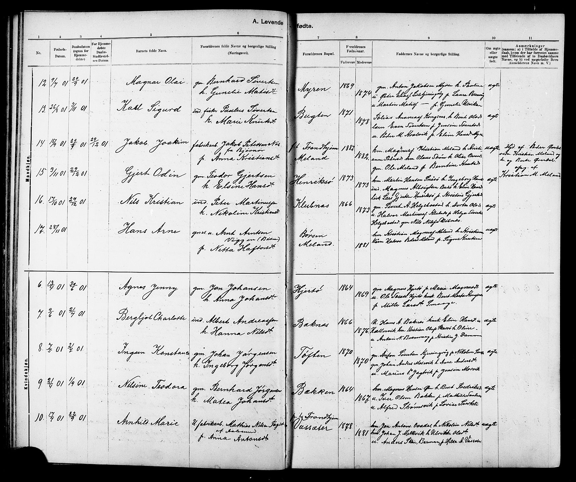 Ministerialprotokoller, klokkerbøker og fødselsregistre - Sør-Trøndelag, AV/SAT-A-1456/634/L0542: Parish register (copy) no. 634C04, 1892-1916