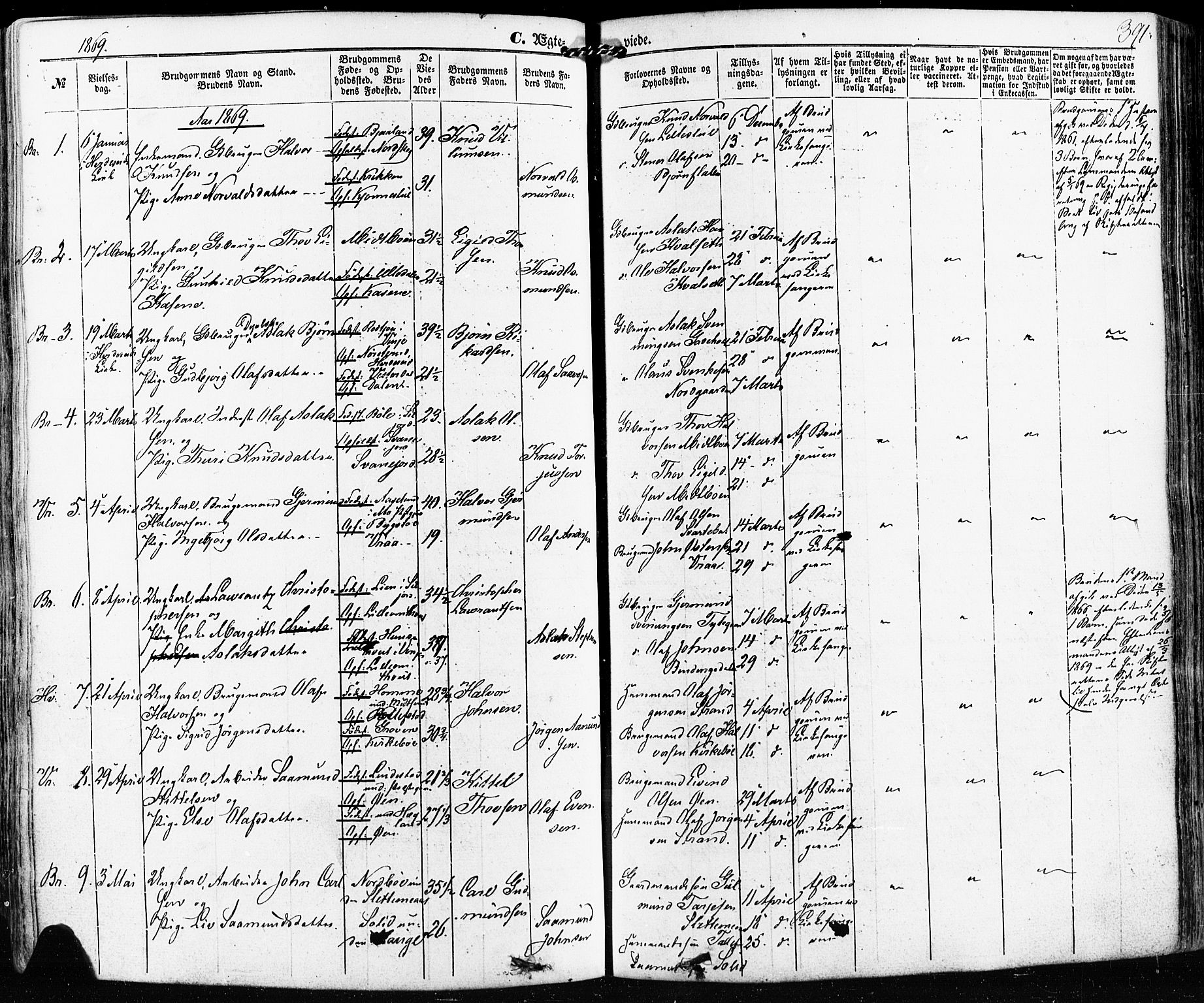 Kviteseid kirkebøker, SAKO/A-276/F/Fa/L0007: Parish register (official) no. I 7, 1859-1881, p. 391