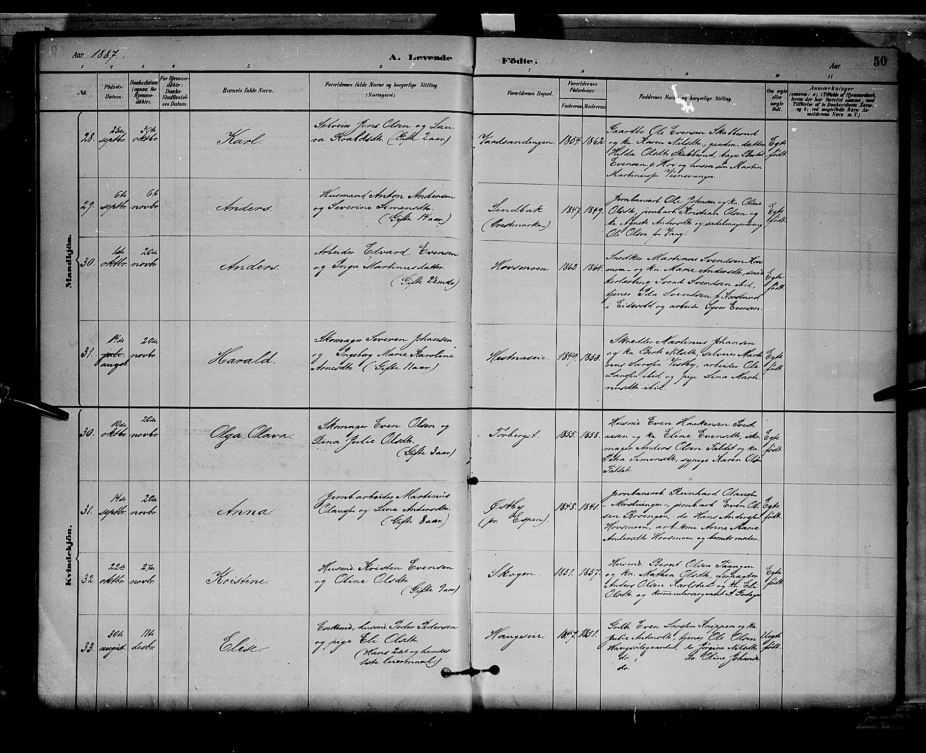 Stange prestekontor, AV/SAH-PREST-002/L/L0008: Parish register (copy) no. 8, 1882-1895, p. 50