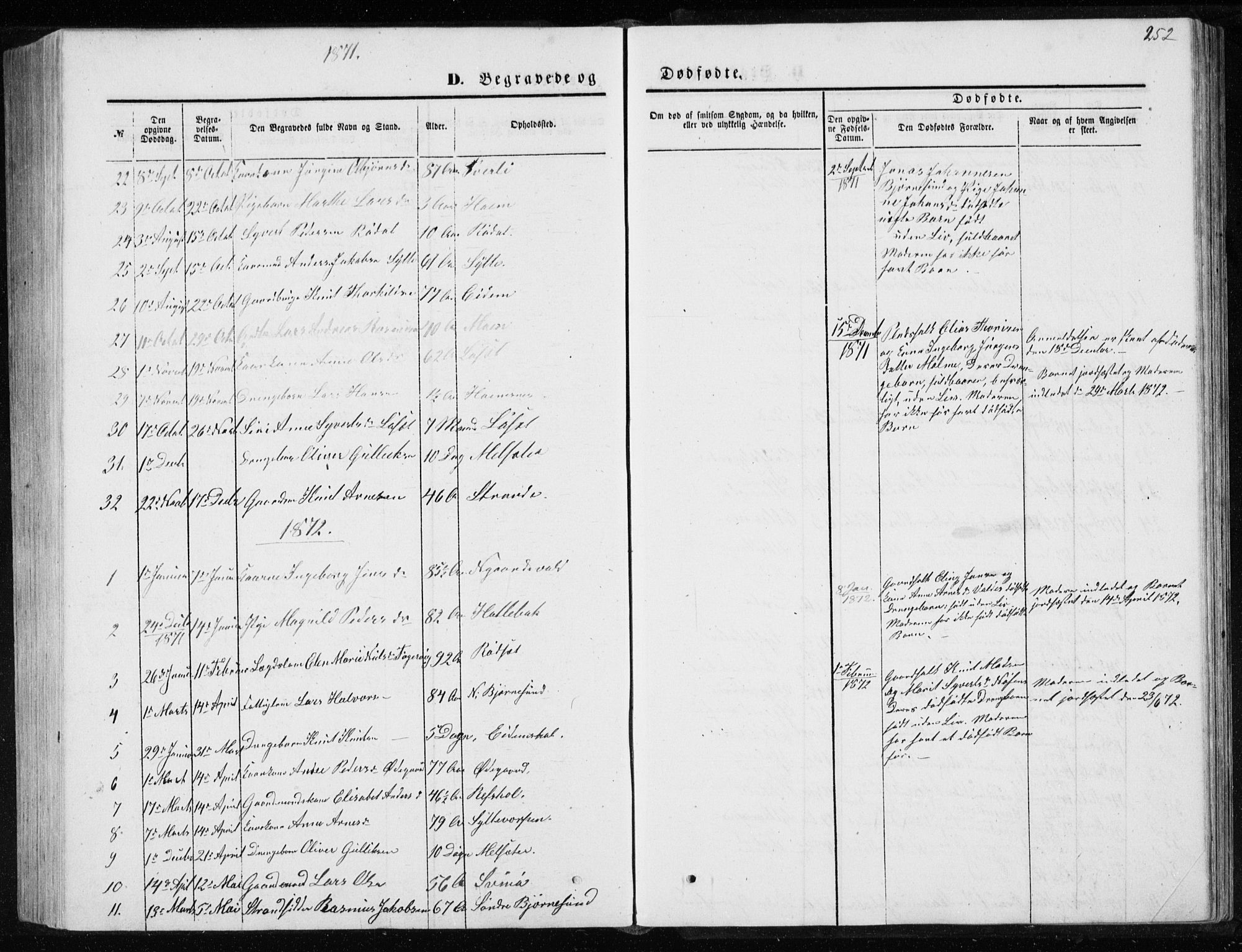 Ministerialprotokoller, klokkerbøker og fødselsregistre - Møre og Romsdal, SAT/A-1454/565/L0754: Parish register (copy) no. 565C03, 1870-1896, p. 252